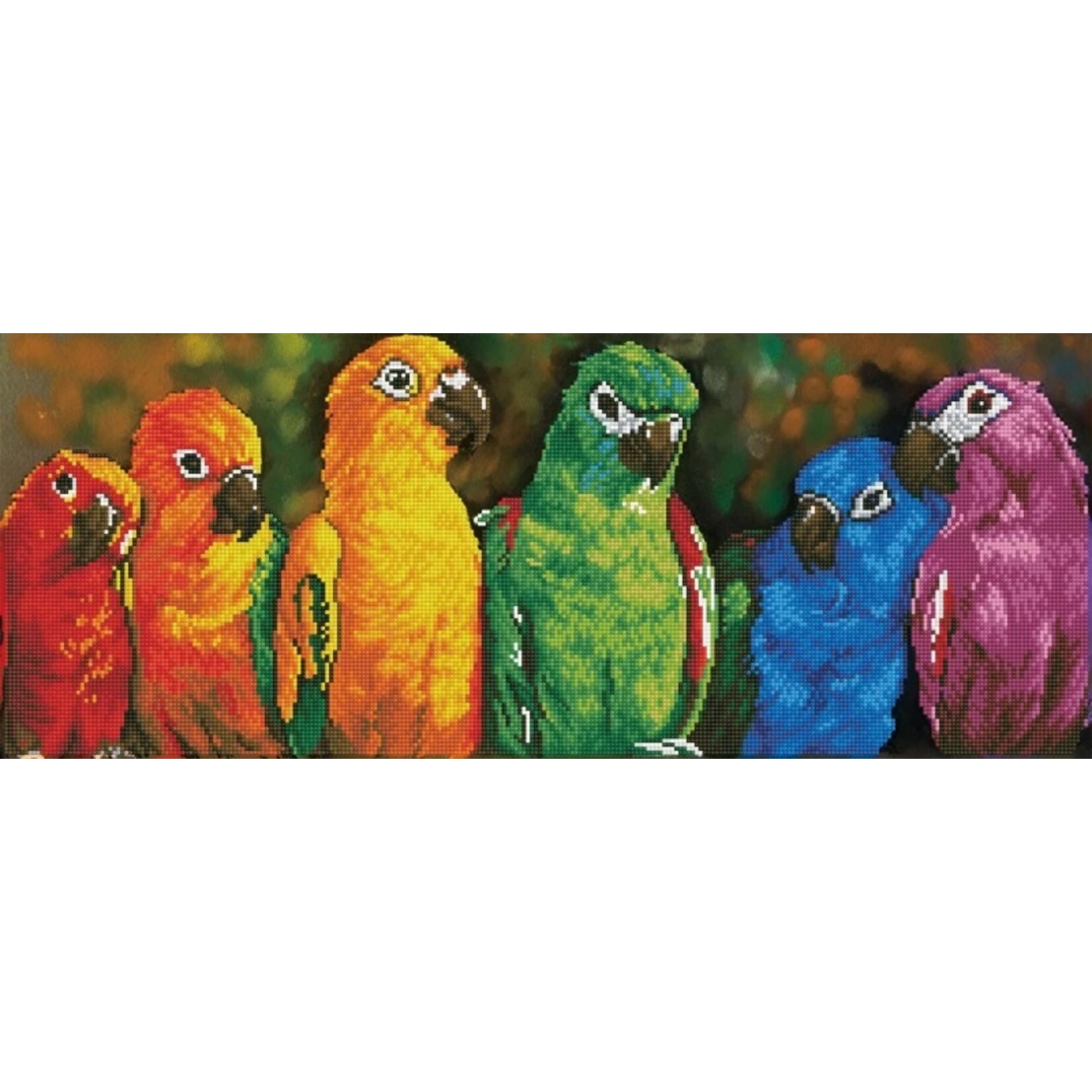 Diamond Dotz Rainbow Parrots - Facet Art Kit