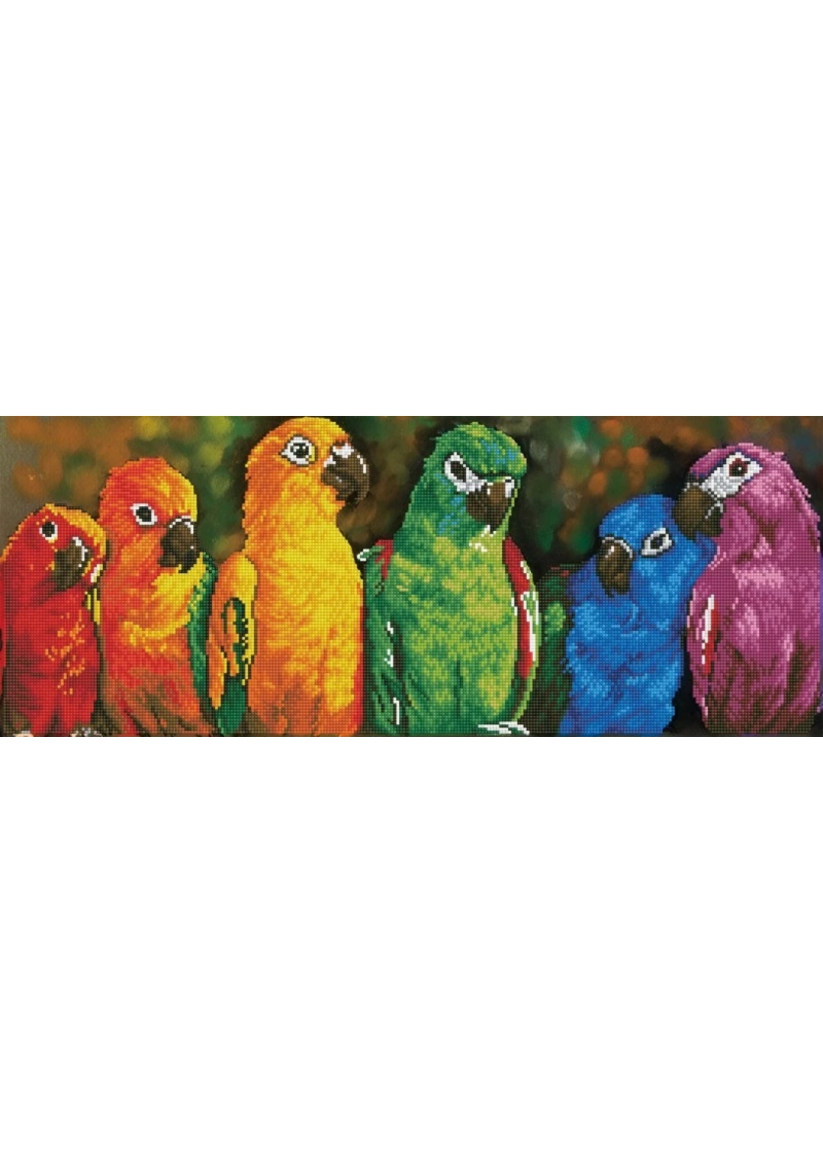 Diamond Dotz Rainbow Parrots - Facet Art Kit