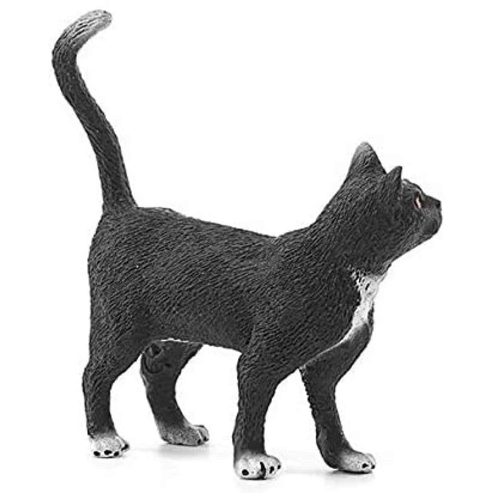 Schleich 13770 - Cat, Standing