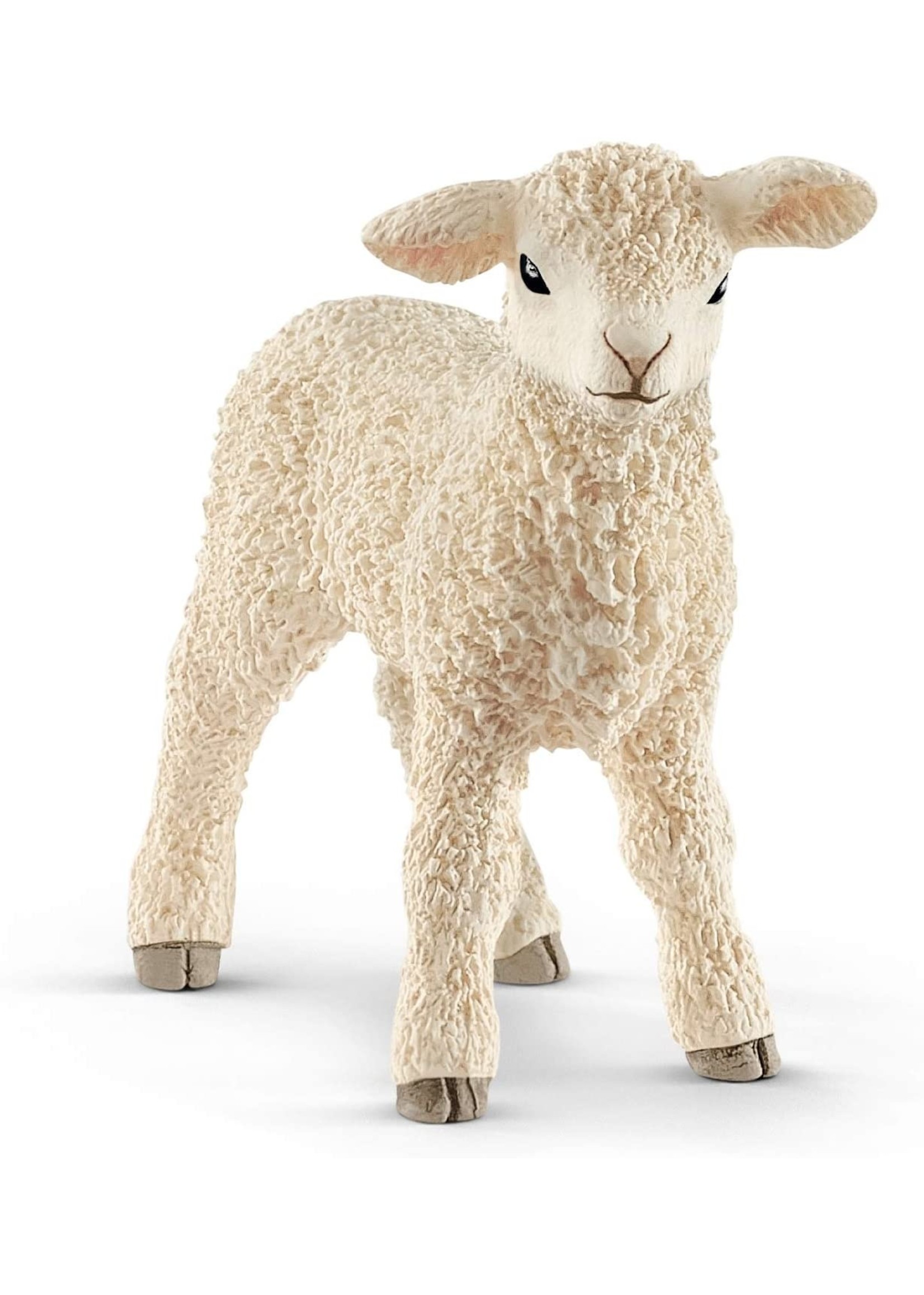Schleich 13883 - Lamb