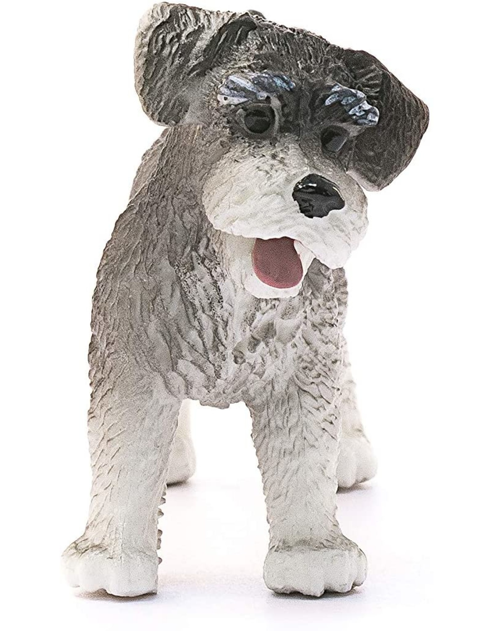 Rassestandard - von-den-kleinen-strolchens Webseite!, image size:1600x2048