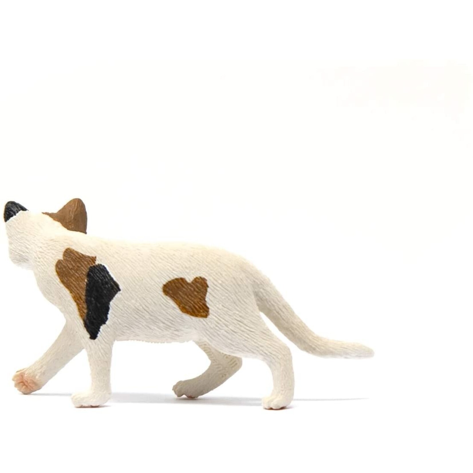 Schleich 13894 - American Shorthair Cat