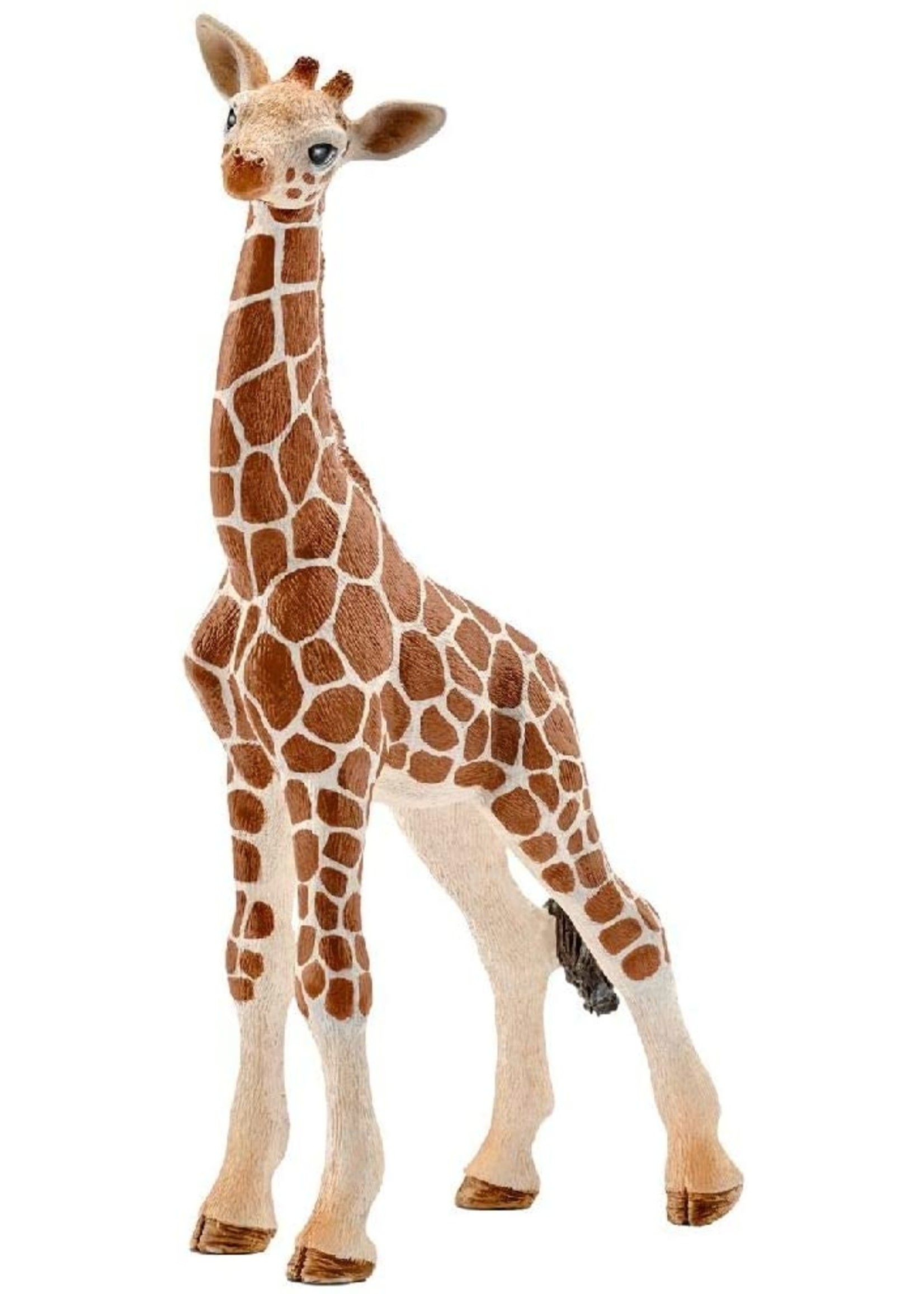 Schleich 14751 - Giraffe Calf