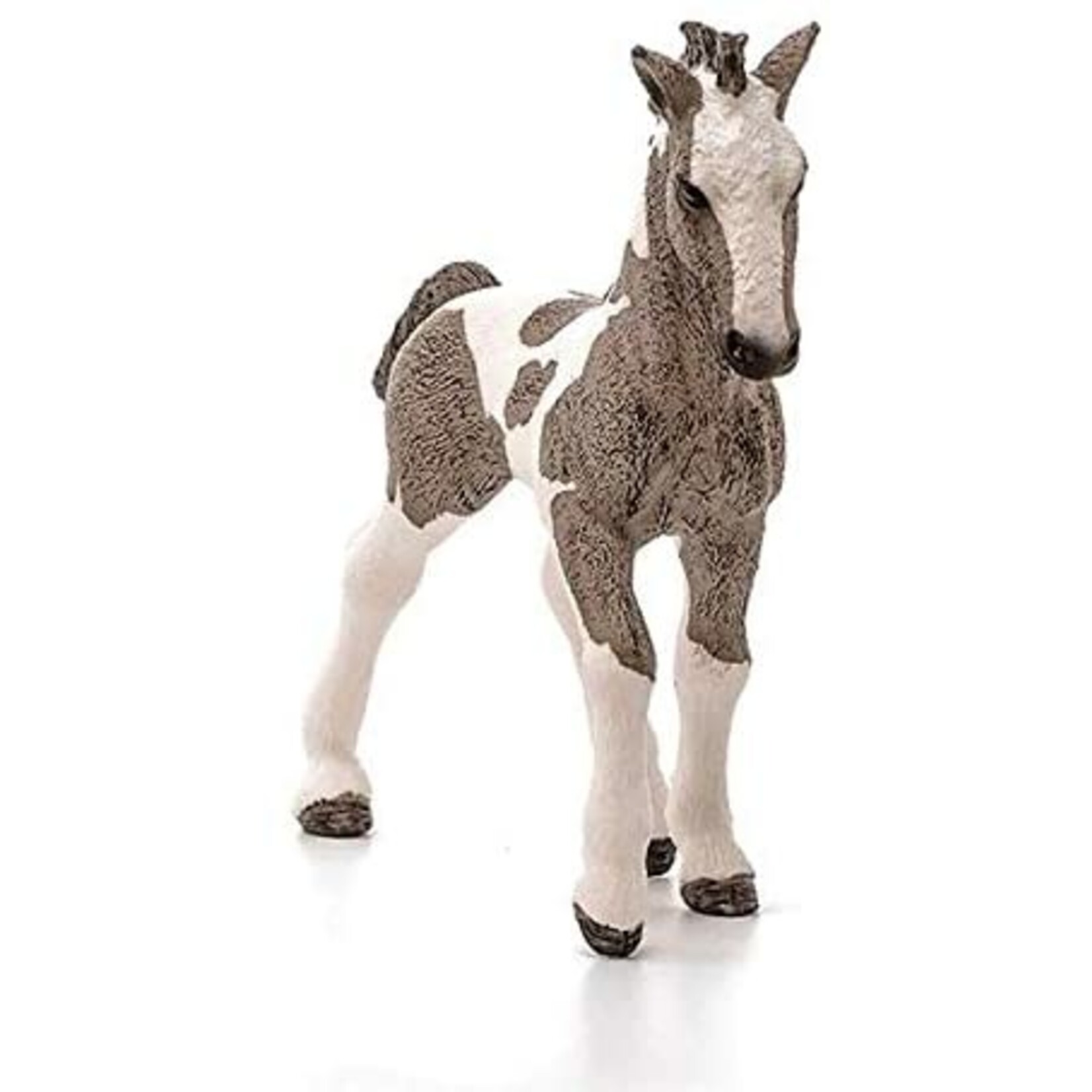 Schleich 13774 - Tinker Foal