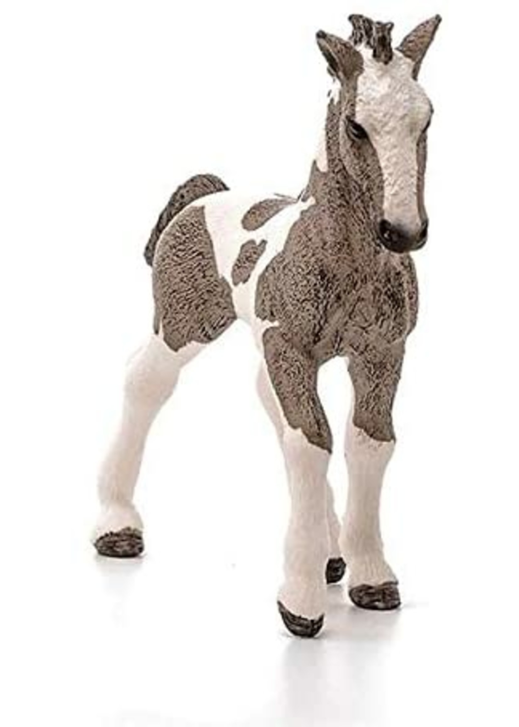 Schleich 13774 - Tinker Foal
