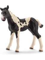 Schleich 13803 - Pinto Foal