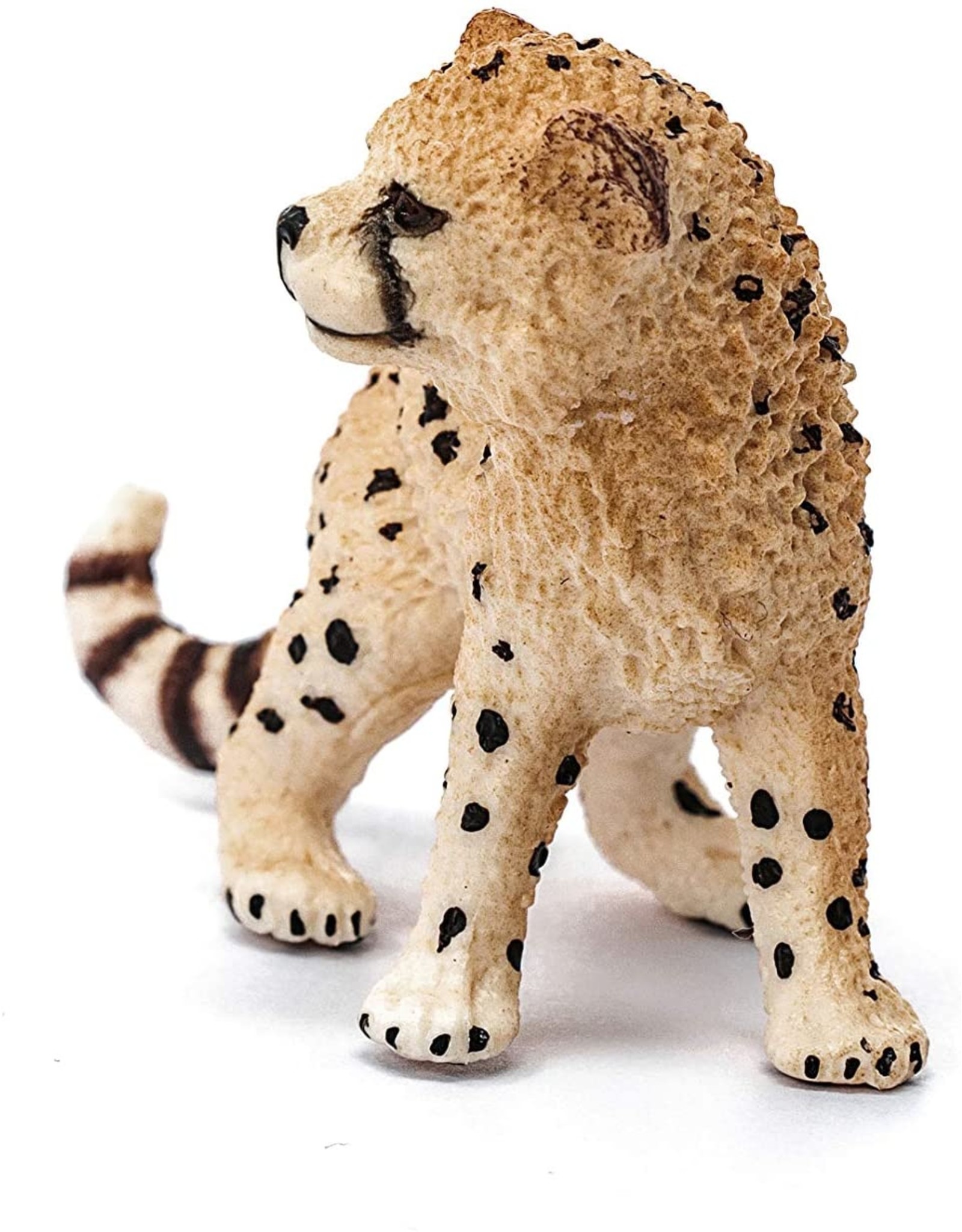 schleich cheetah cub