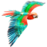 Fascinations Metal Earth - Parrot Jubilee Macaw ICX