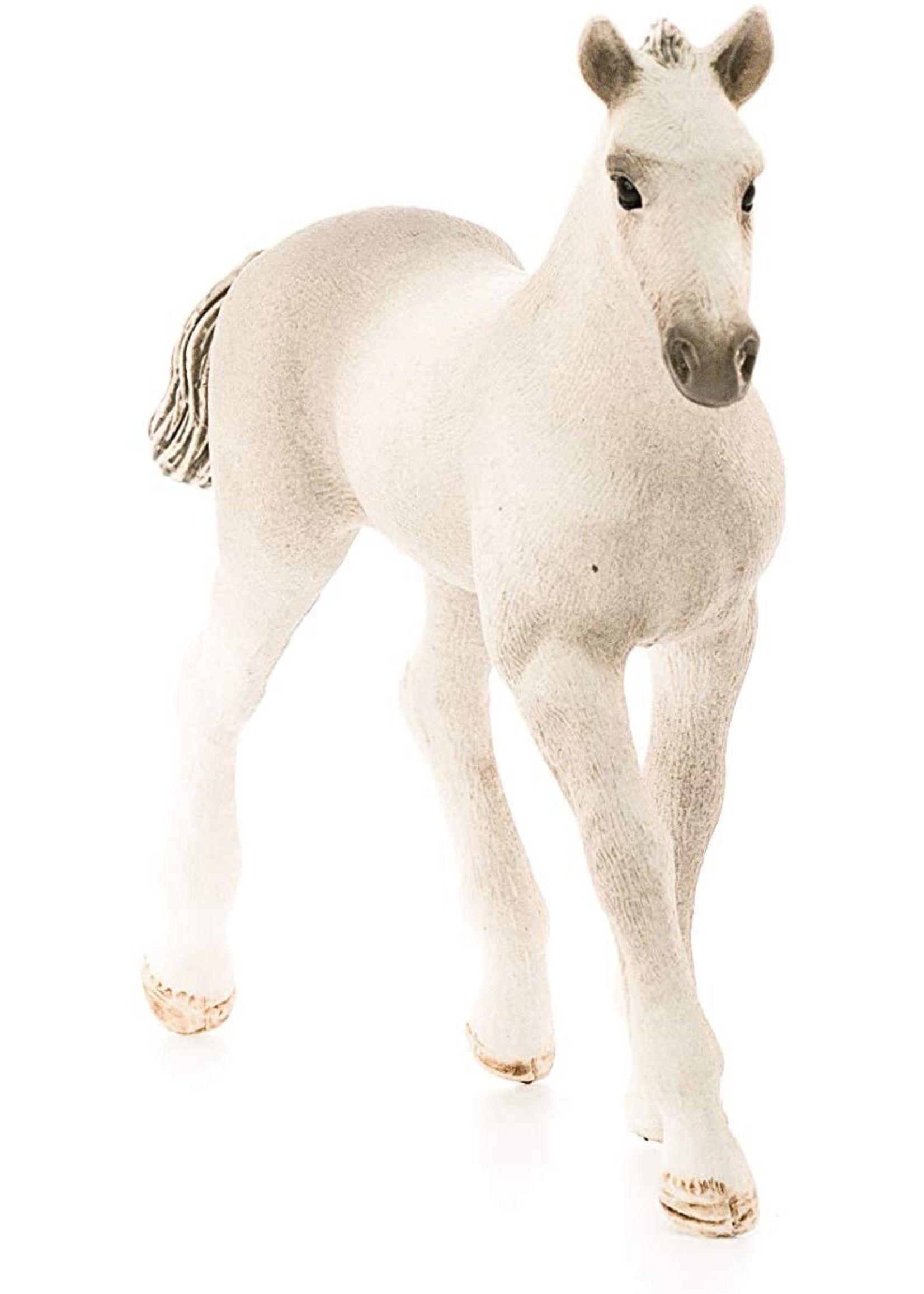 Schleich 13860 - Holsteiner Foal