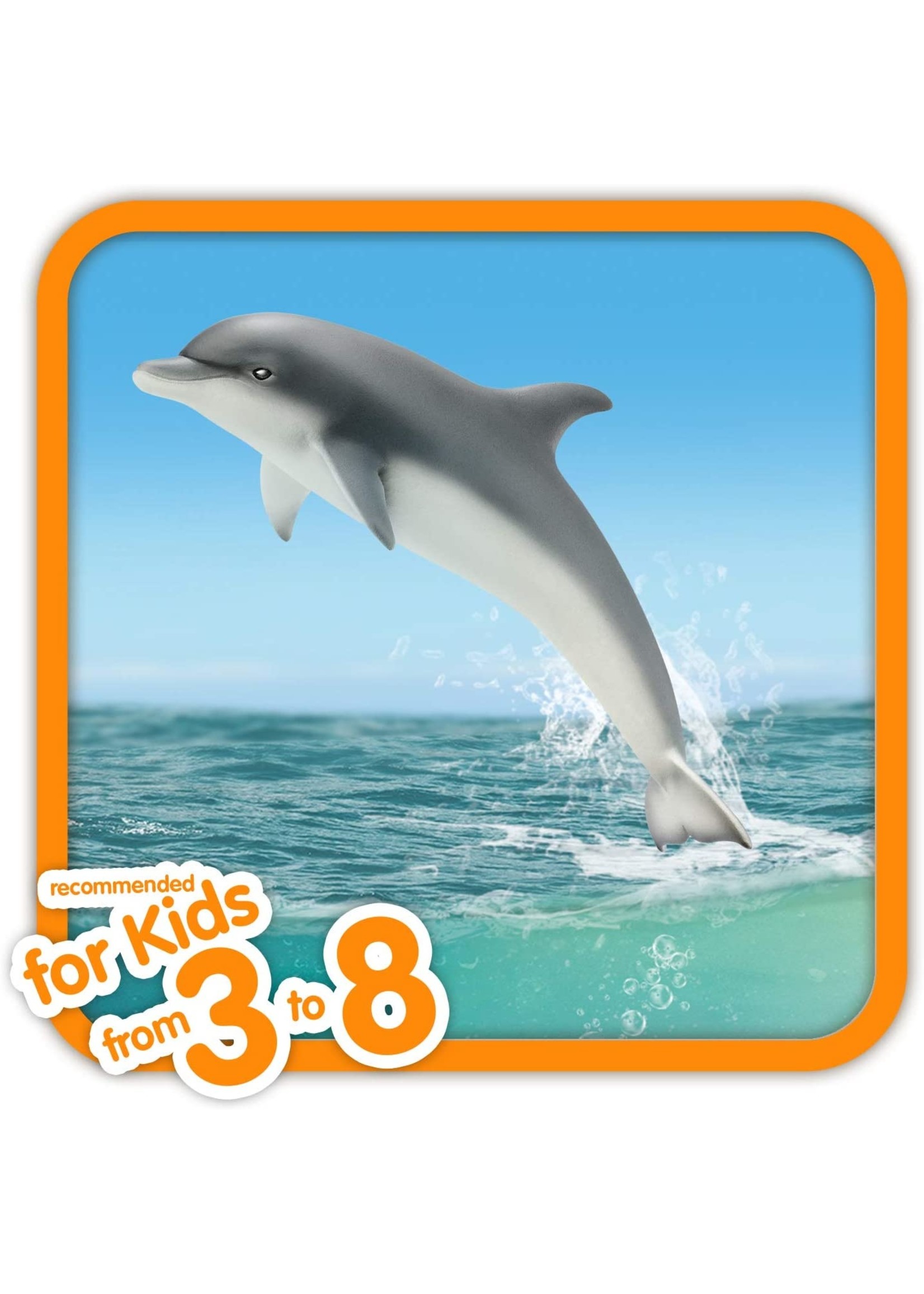 14808 Dolphin Hub Hobby