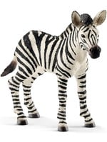Schleich 14811 - Zebra Foal