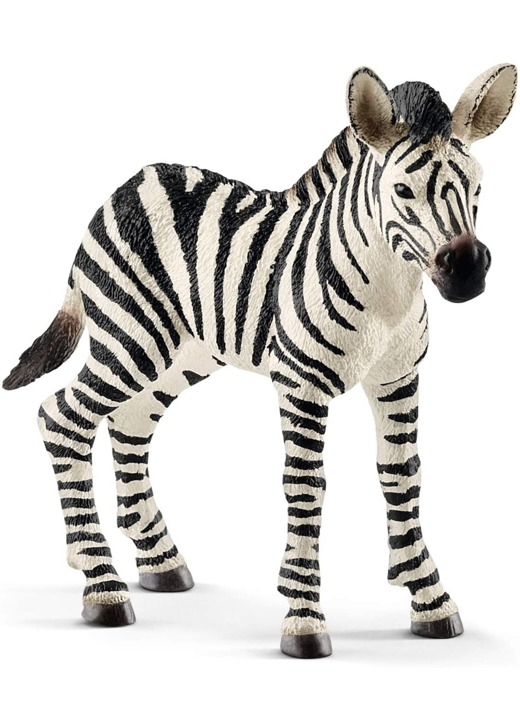 Schleich 14811 - Zebra Foal