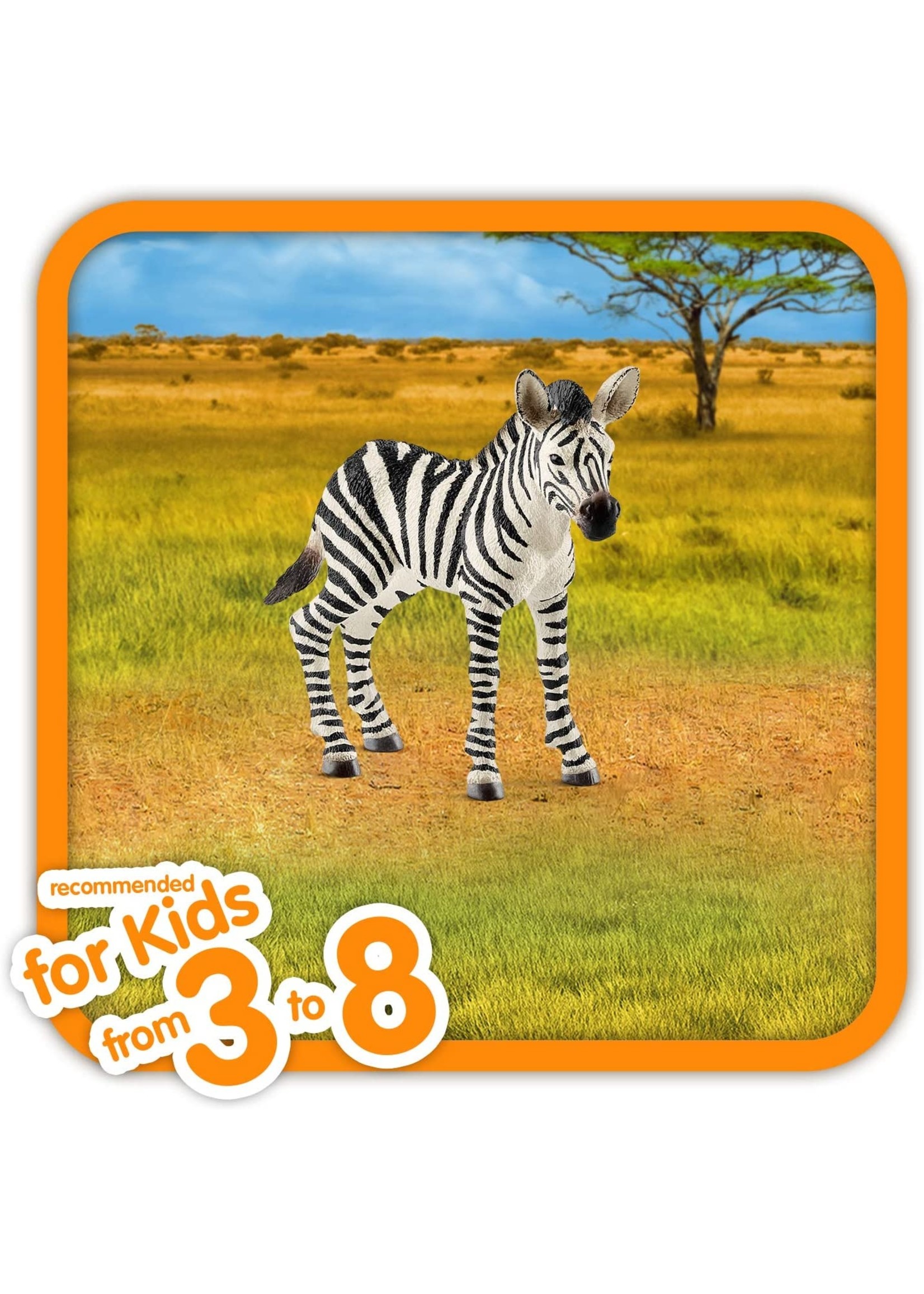 Schleich 14811 - Zebra Foal