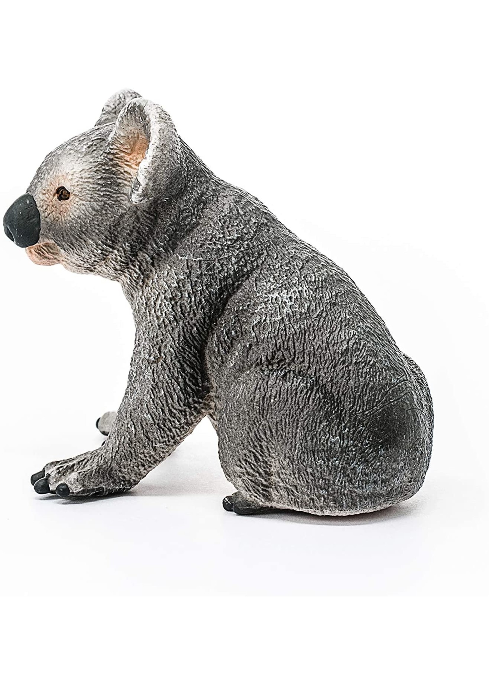 Schleich 14815 - Koala Bear