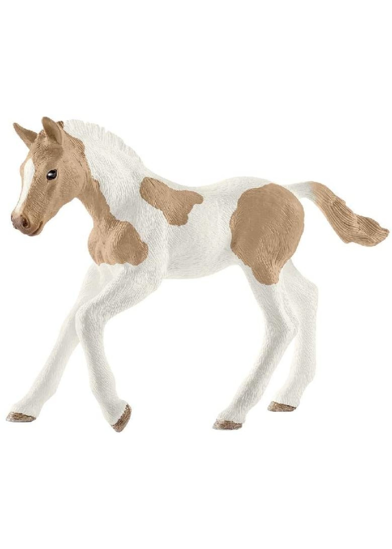 Schleich 13886 - Paint Horse Foal
