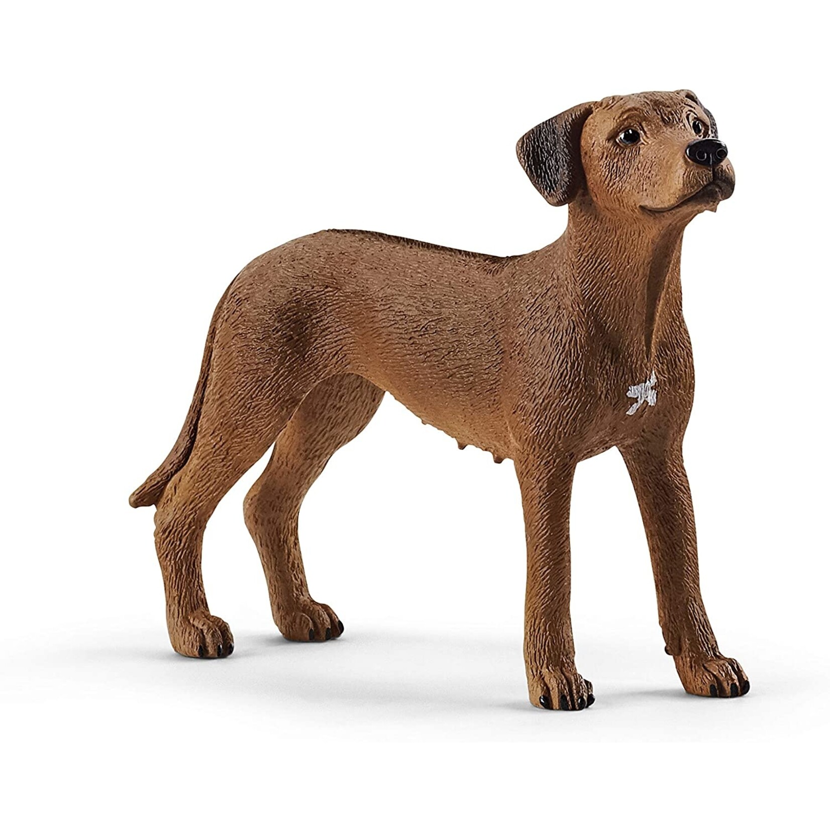 Schleich 13895 - Rhodesian Ridgeback