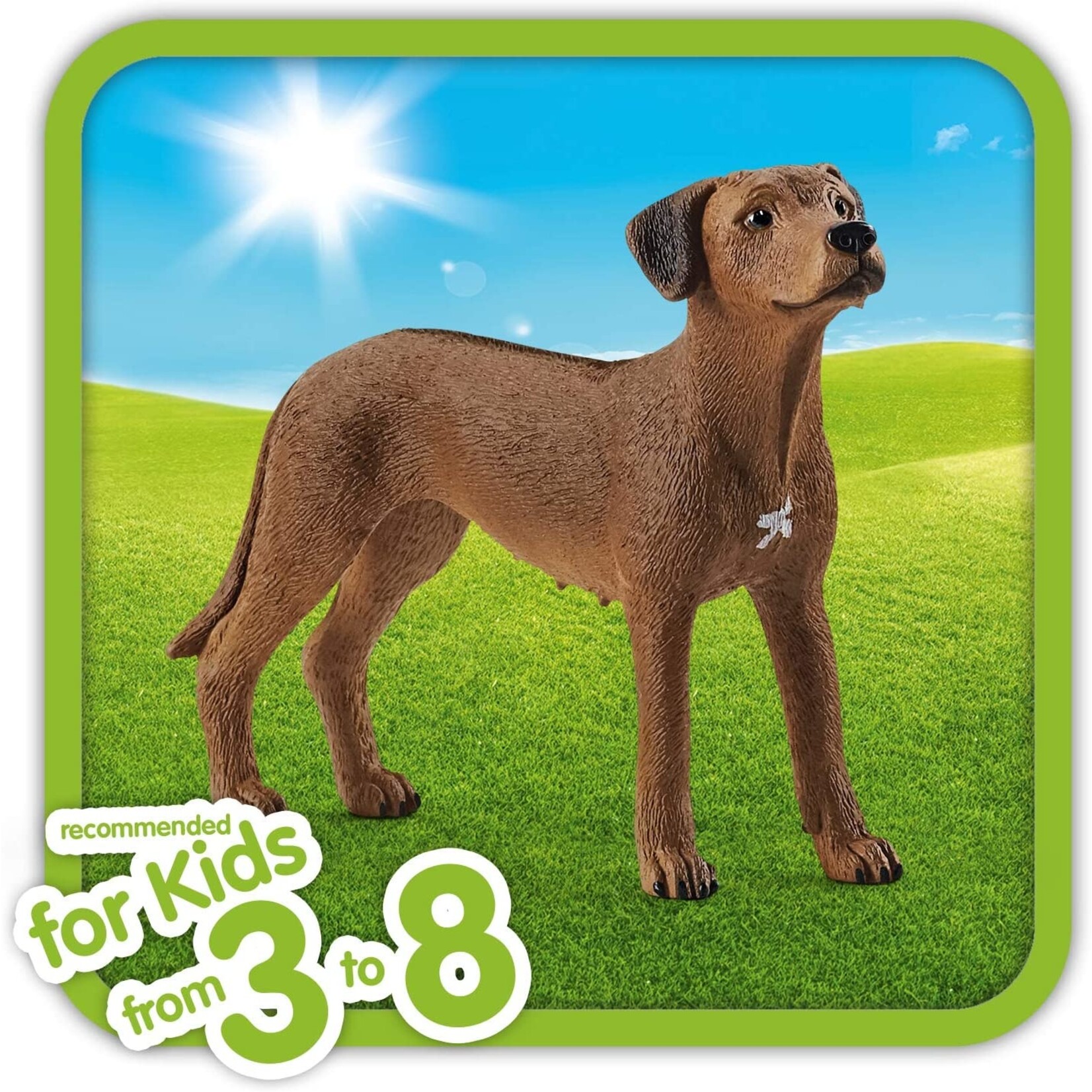 Schleich 13895 - Rhodesian Ridgeback