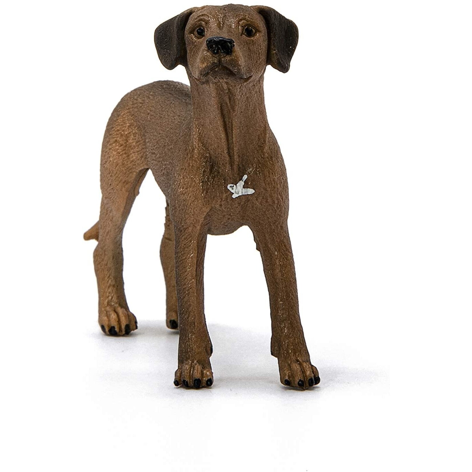 Schleich 13895 - Rhodesian Ridgeback