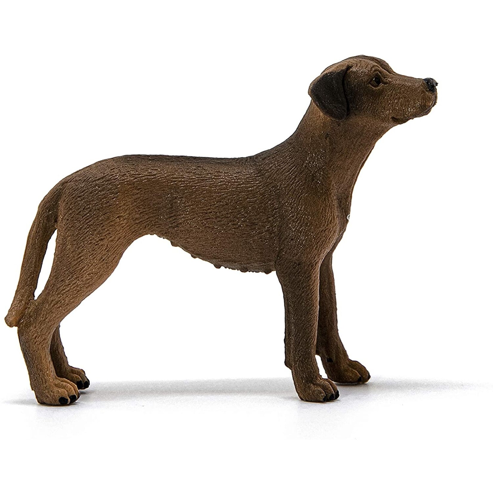 Schleich 13895 - Rhodesian Ridgeback