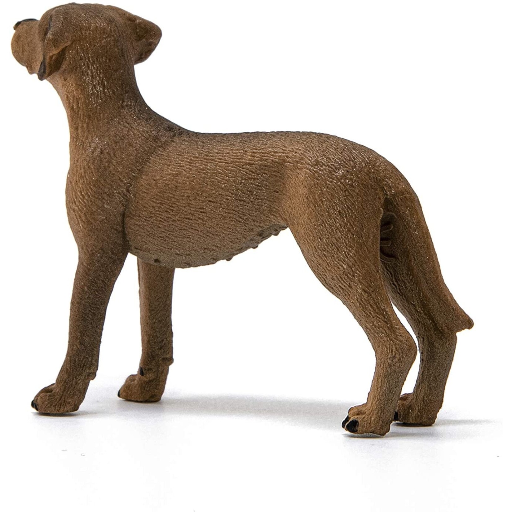 Schleich 13895 - Rhodesian Ridgeback