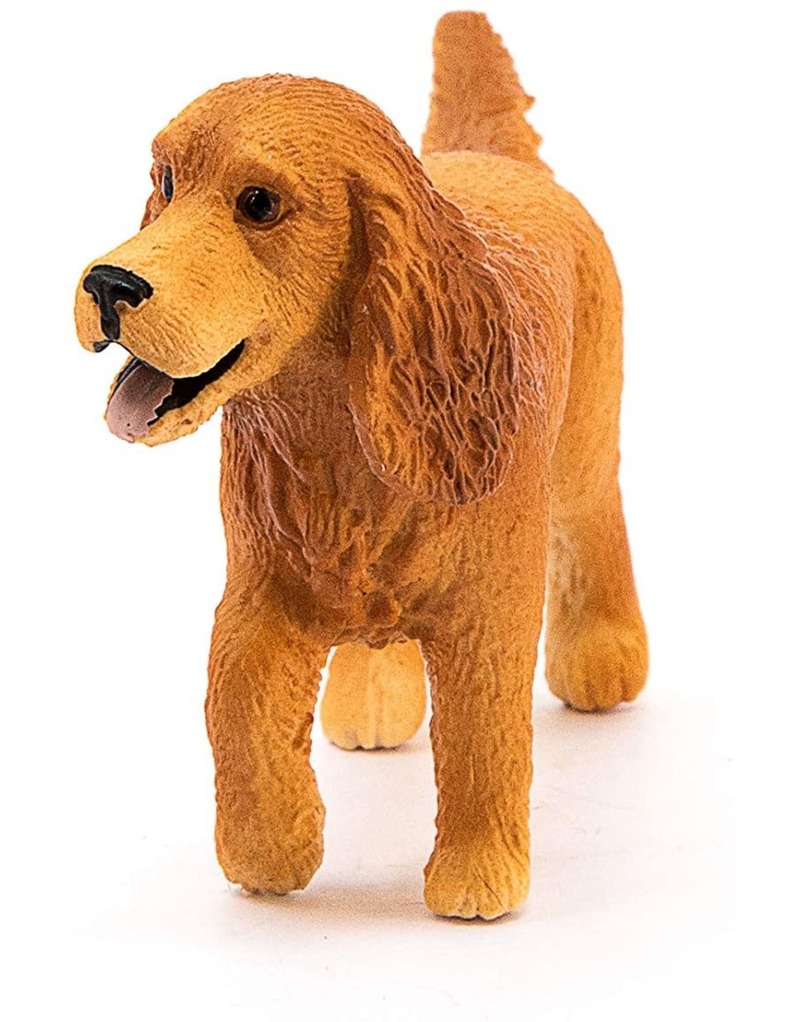 13896 - English Cocker Spaniel - Hub Hobby