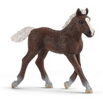 Schleich 13899 - Black Forest Foal