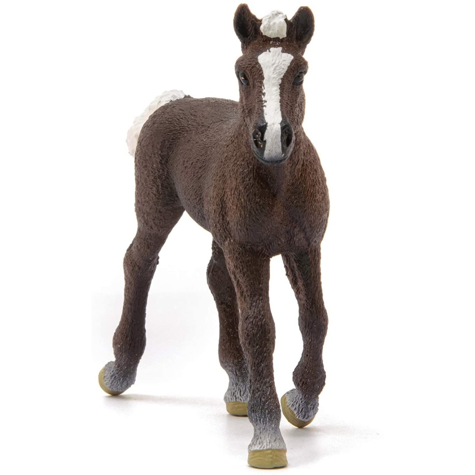 Schleich 13899 - Black Forest Foal