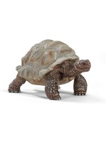 Schleich 14824 - Giant Tortoise