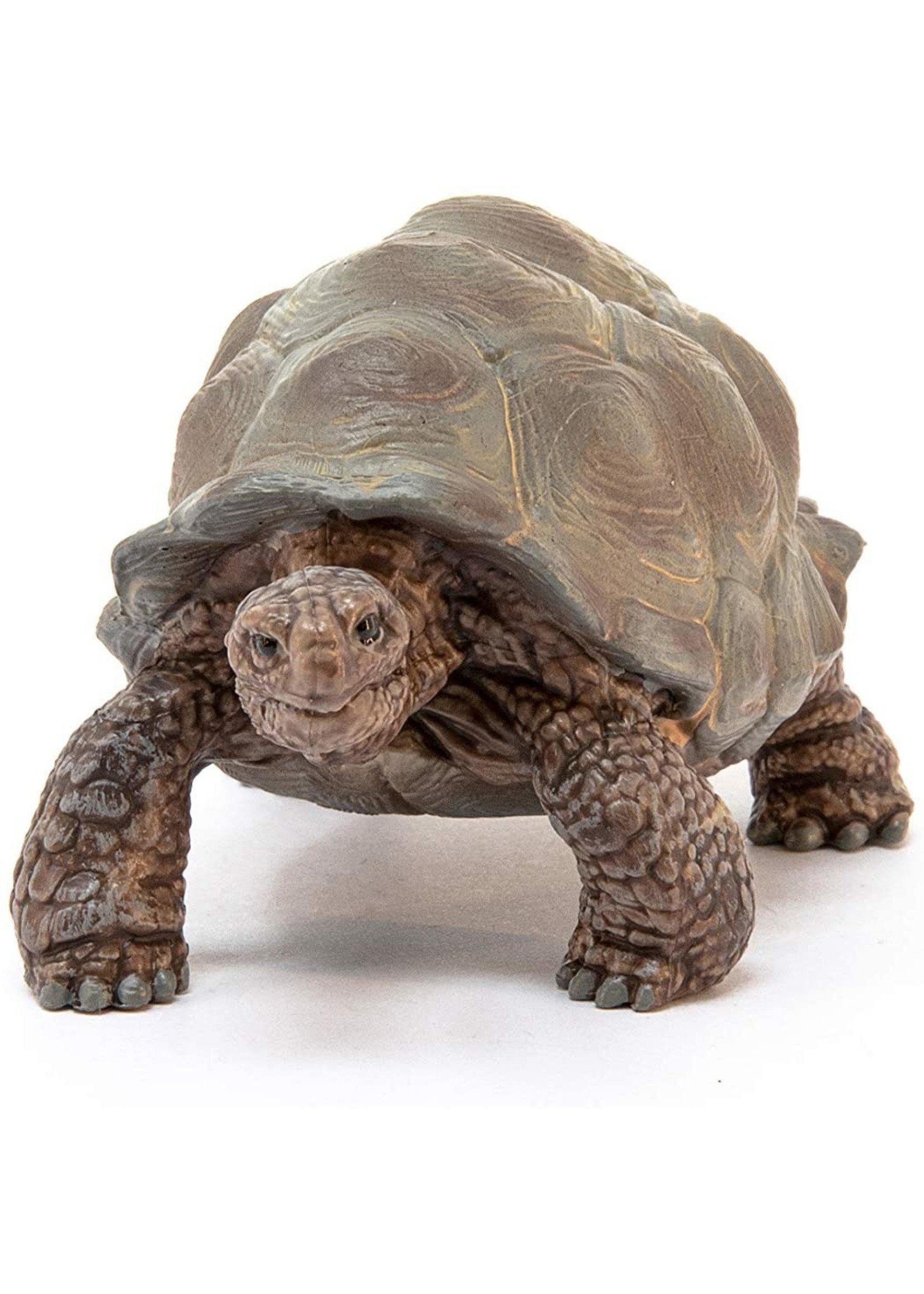 Schleich 14824 - Giant Tortoise