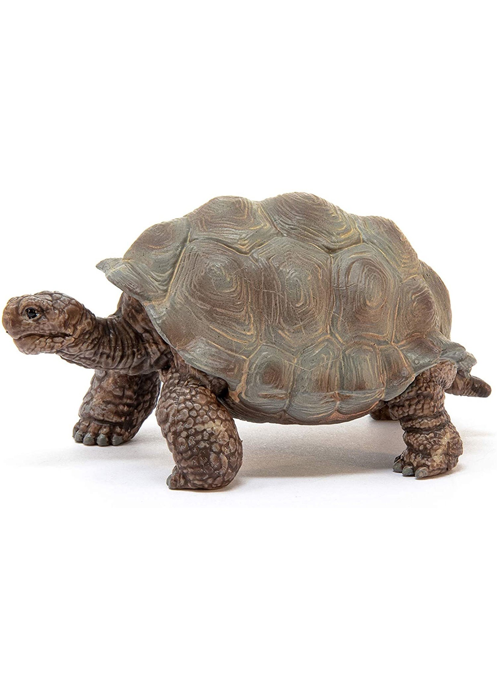 Schleich 14824 - Giant Tortoise