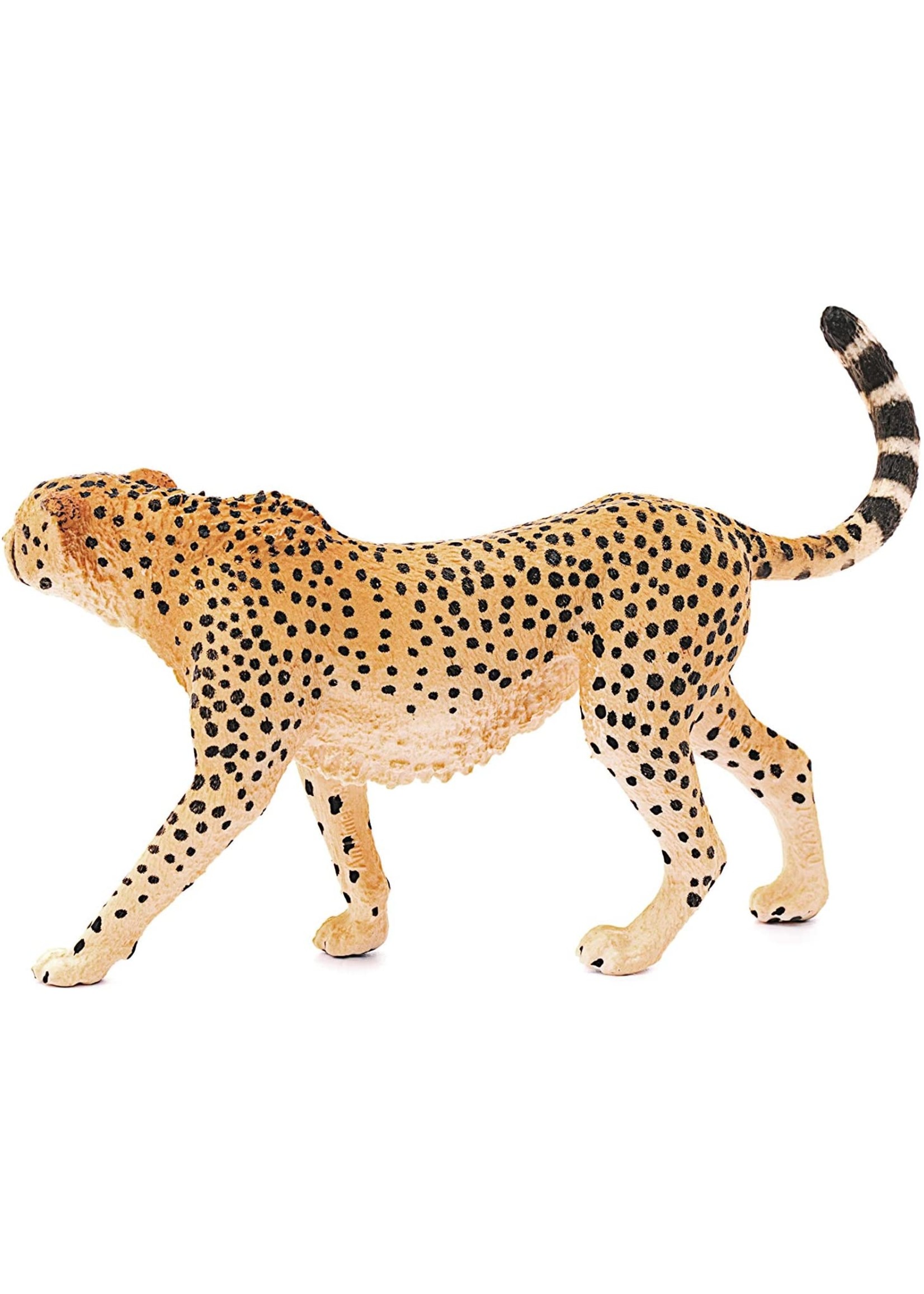 Schleich 14746 - Cheetah, Female