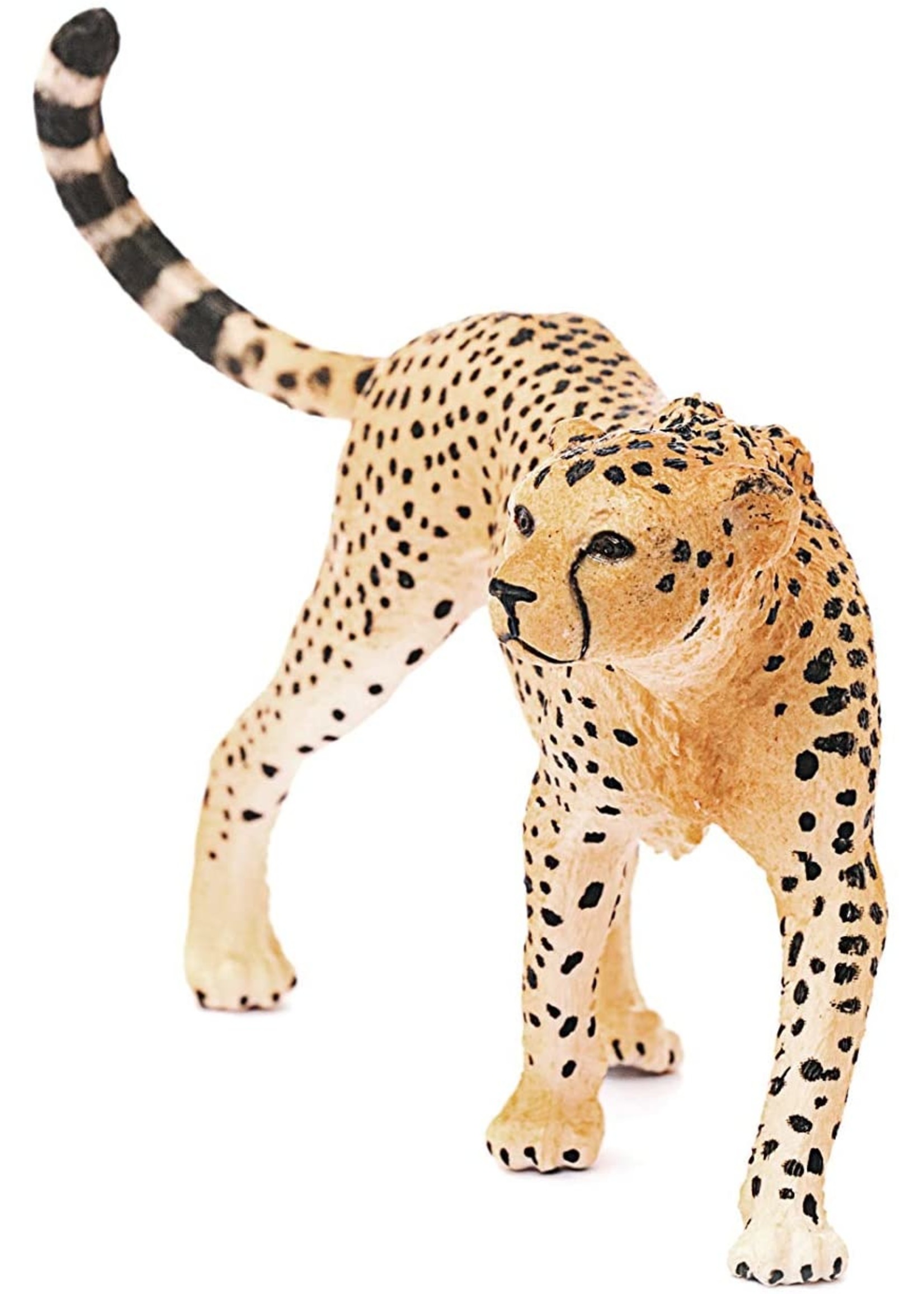 Schleich 14746 - Cheetah, Female