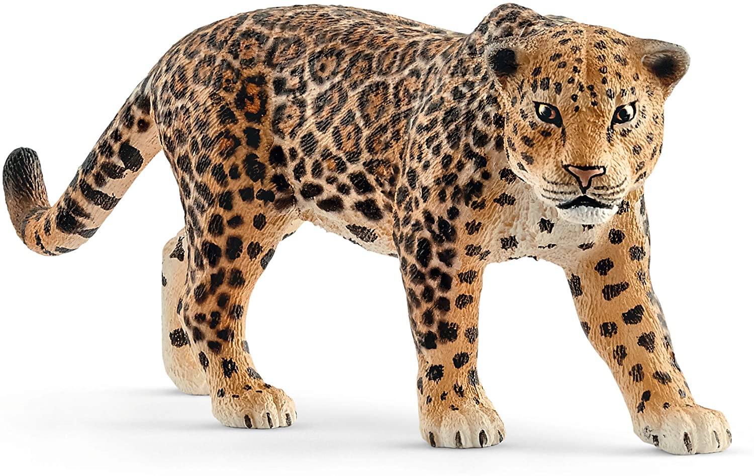14769 - Jaguar - Hub Hobby