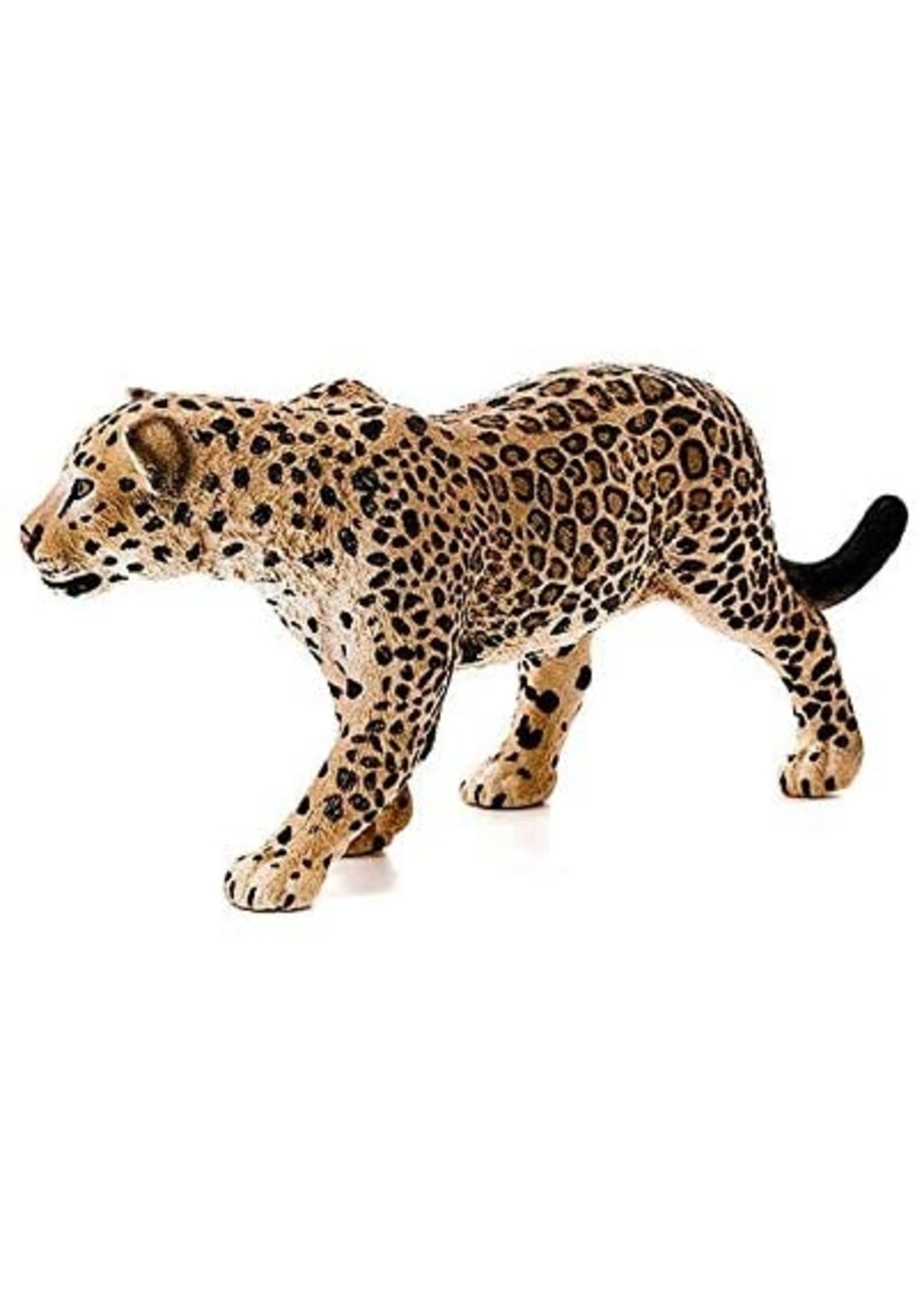 14769 - Jaguar - Hub Hobby