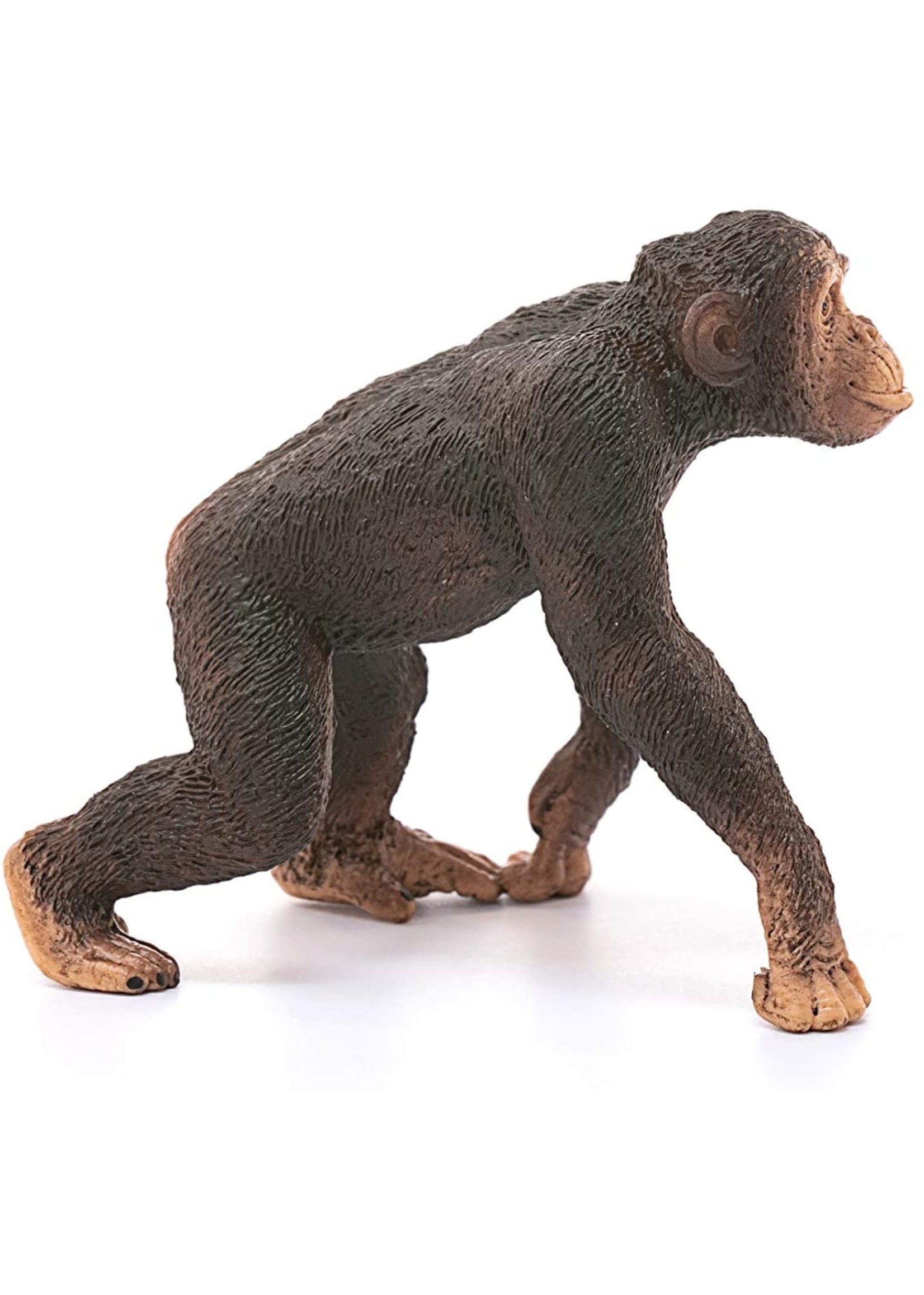 Schleich 14817 - Chimpanzee, Male