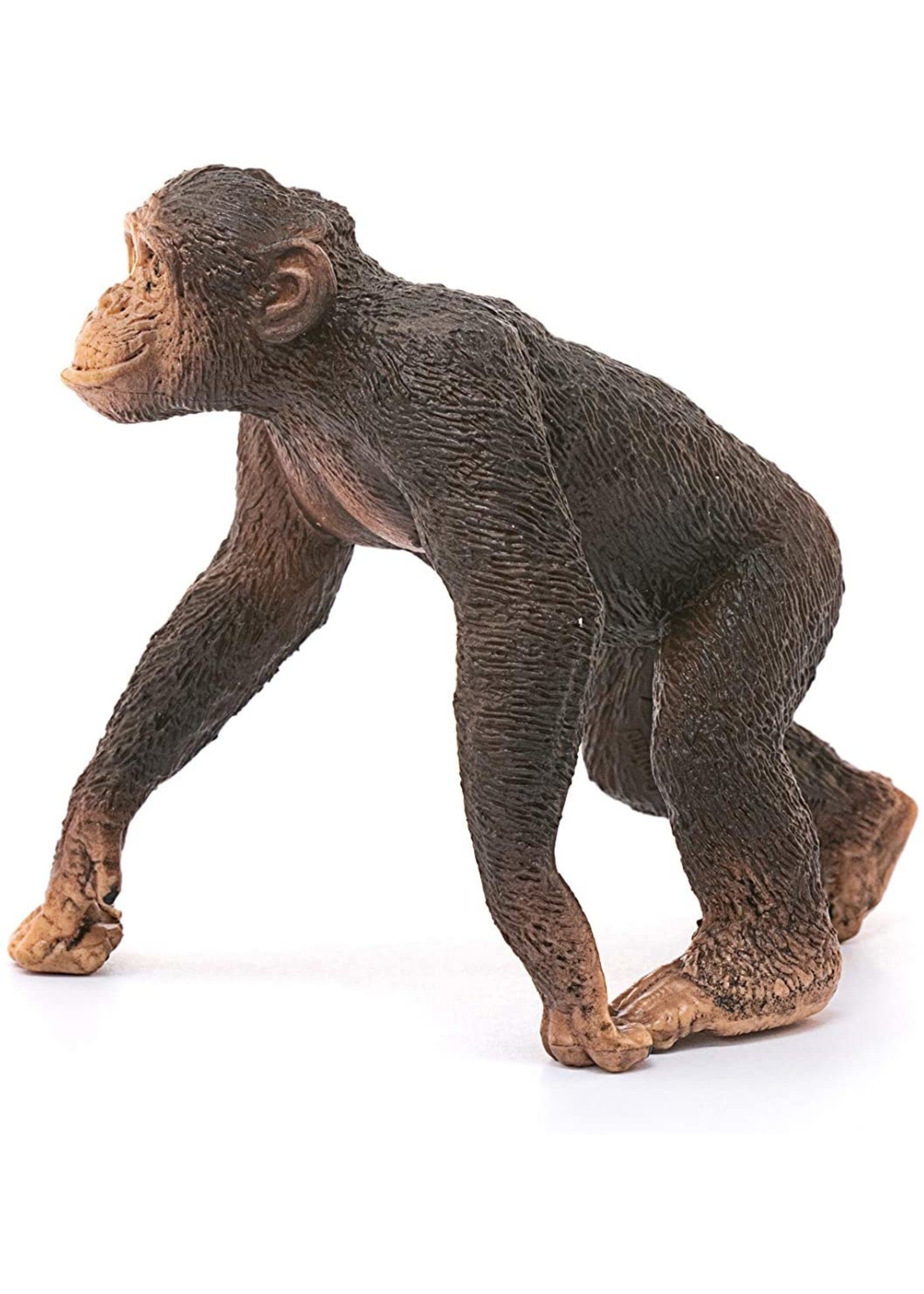 Schleich 14817 - Chimpanzee, Male