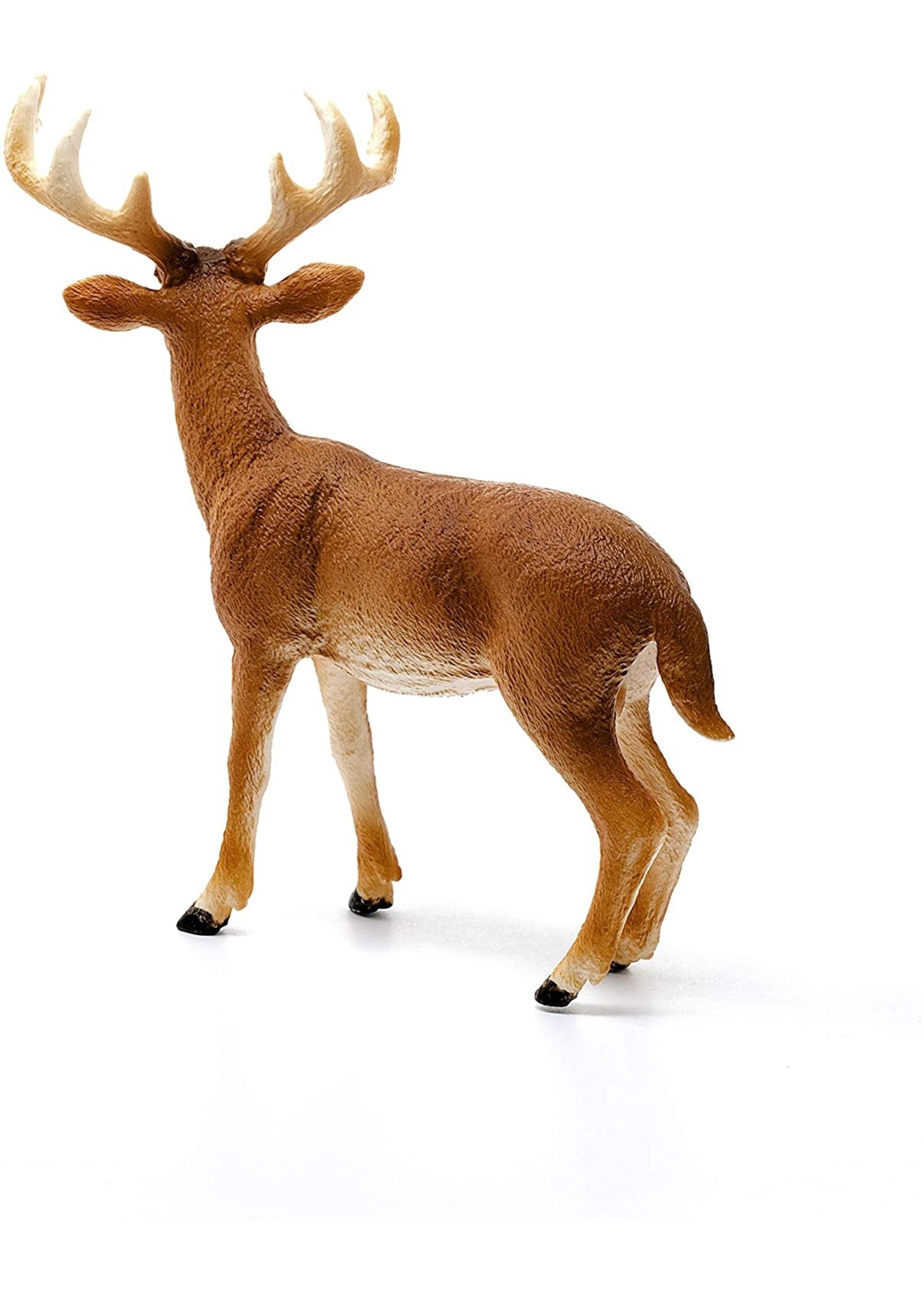 Schleich 14818 - White Tailed Buck