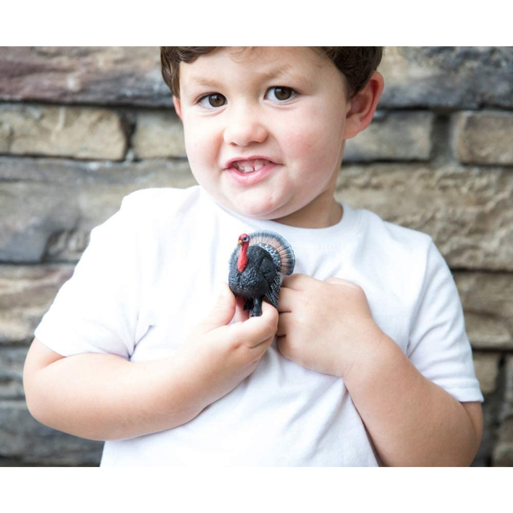 Schleich 13900 - Turkey