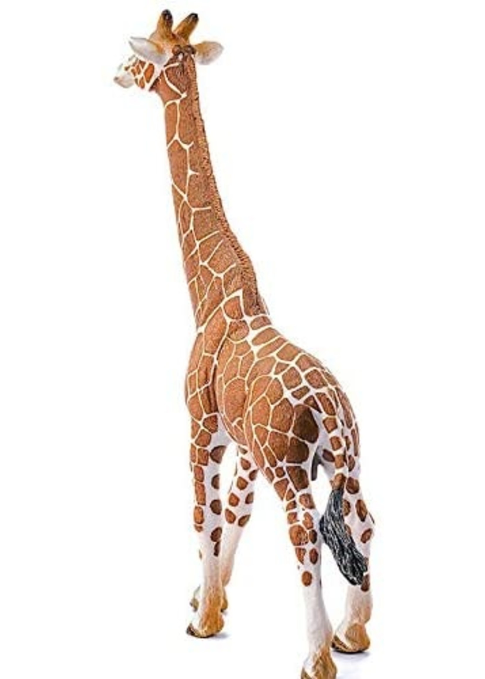 Schleich 14749 - Giraffe, Male