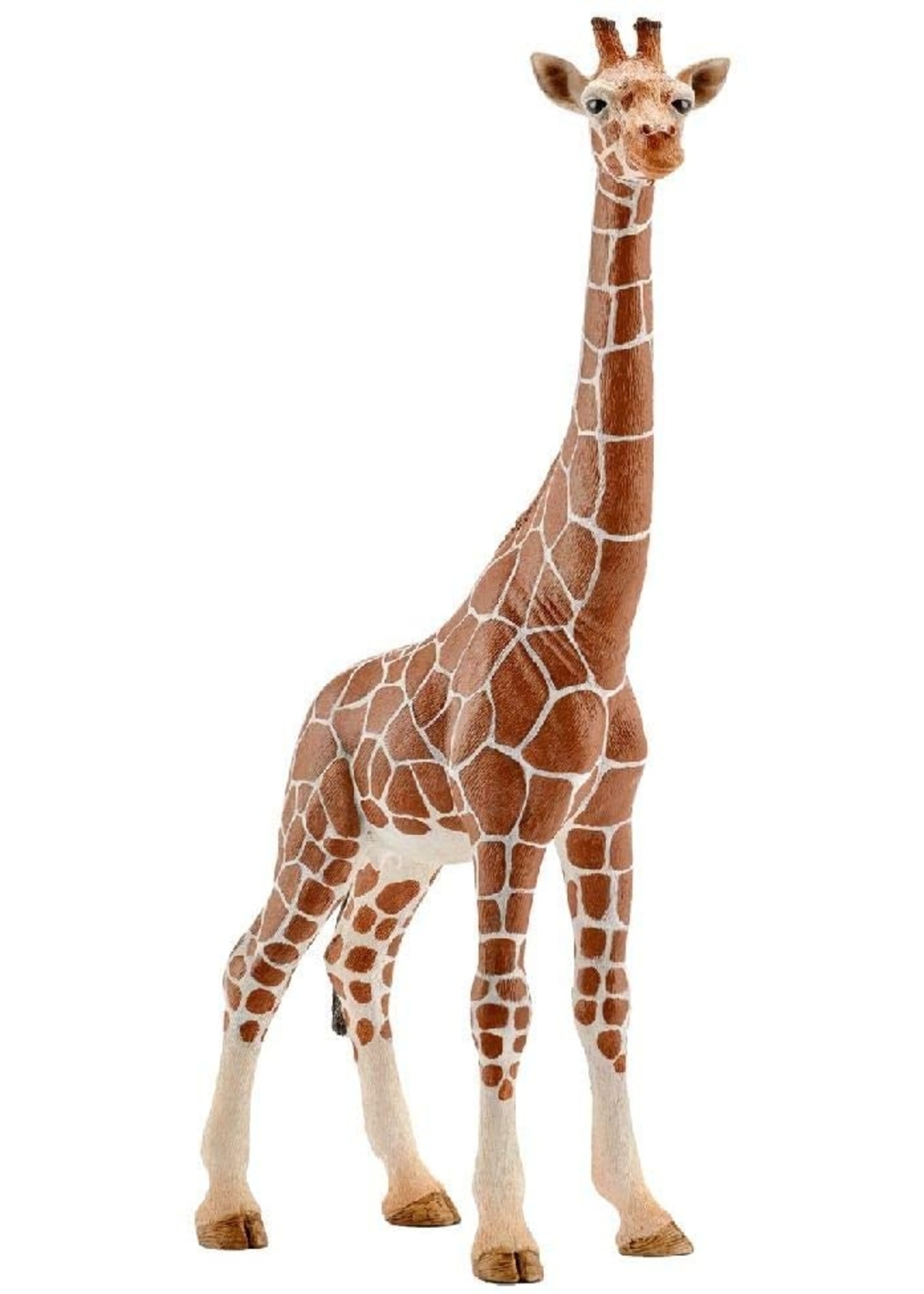 Schleich 14750 - Giraffe, Female