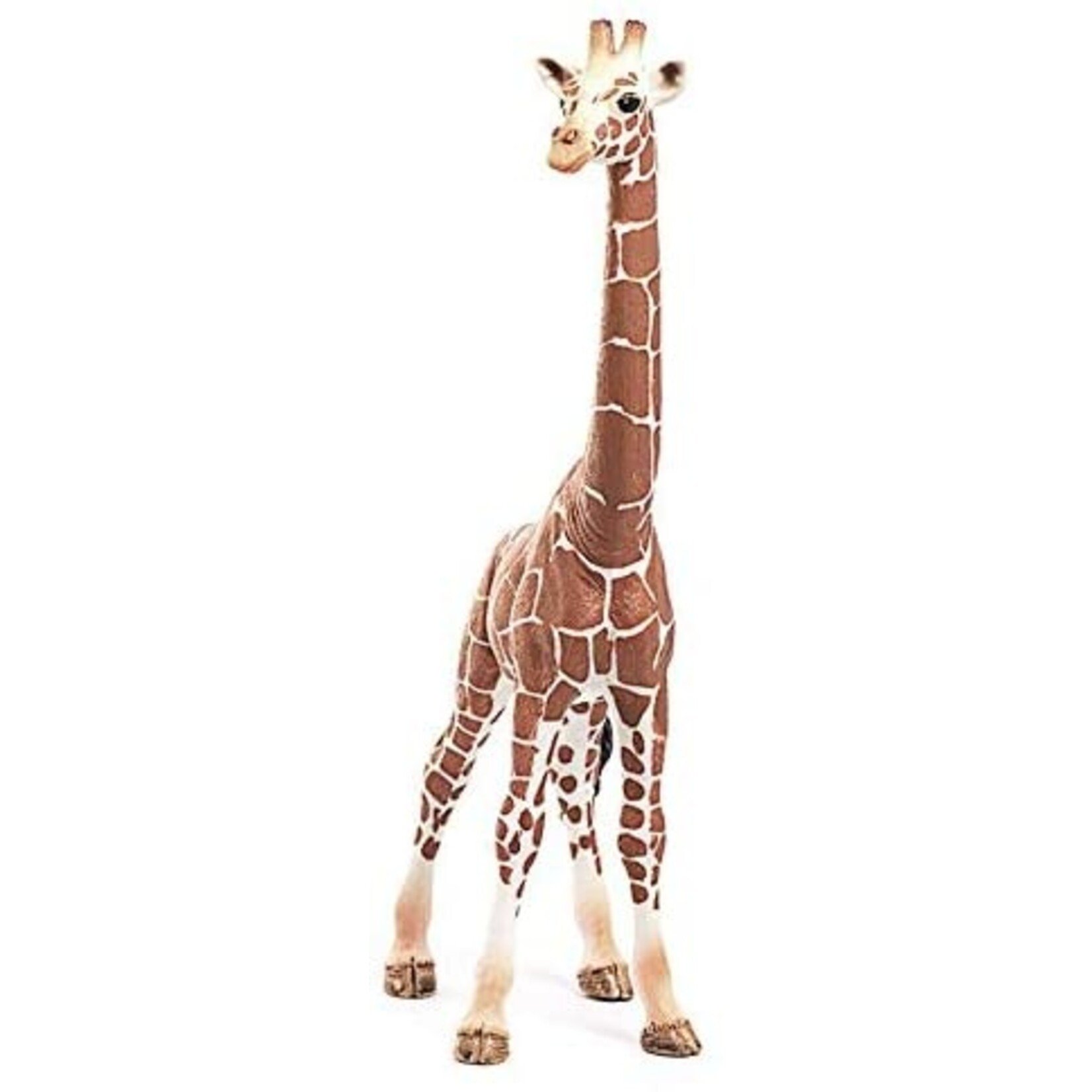 Schleich 14750 - Giraffe, Female