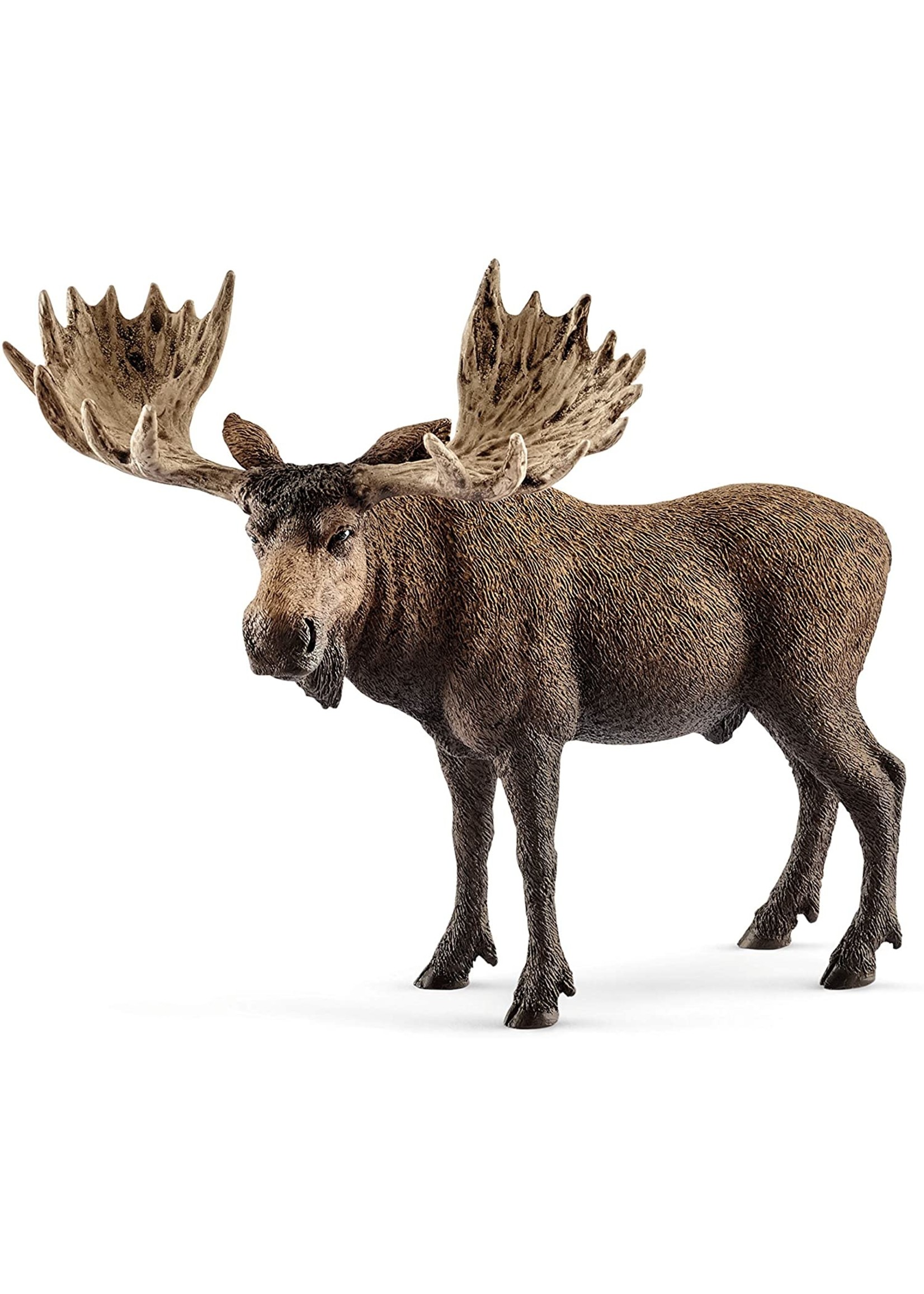 Schleich 14781 - Moose Bull