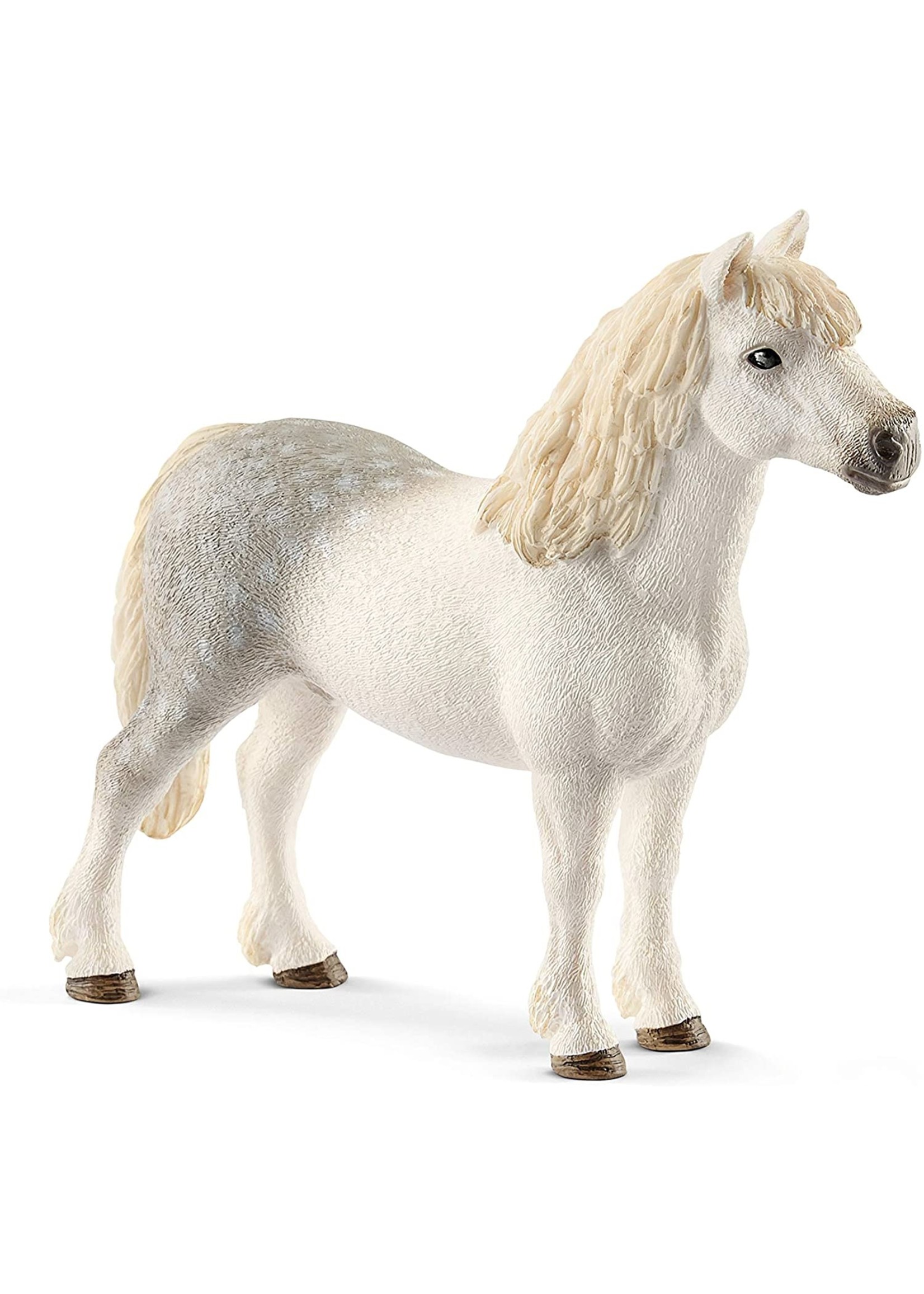 Schleich 13871 - Welsh Pony Stallion