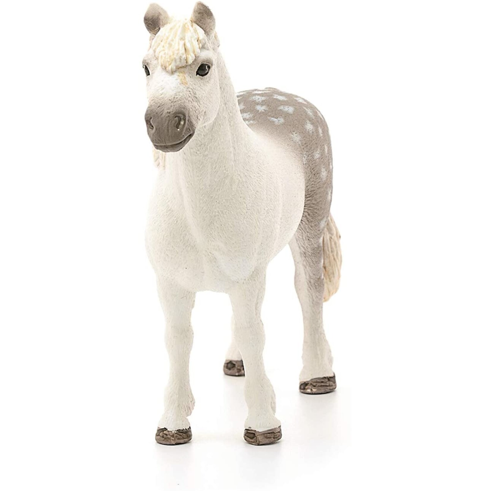 Schleich 13871 - Welsh Pony Stallion