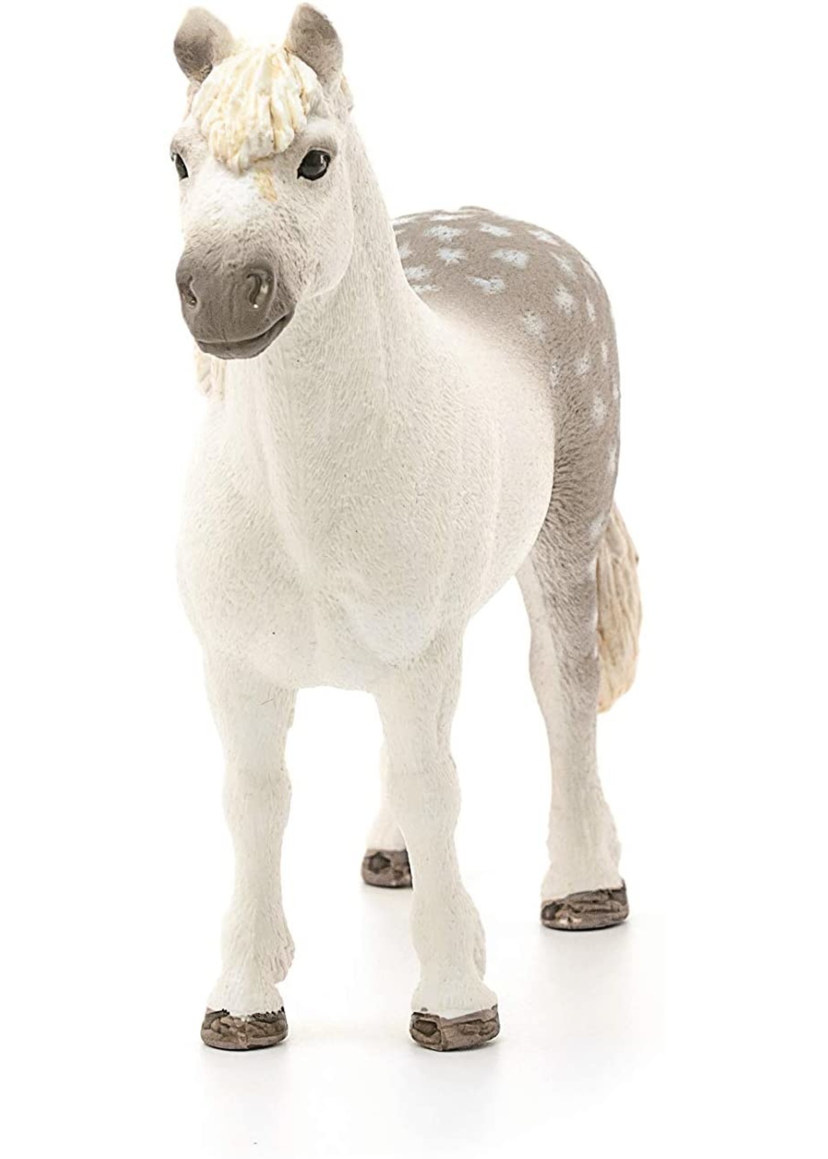 Schleich 13871 - Welsh Pony Stallion