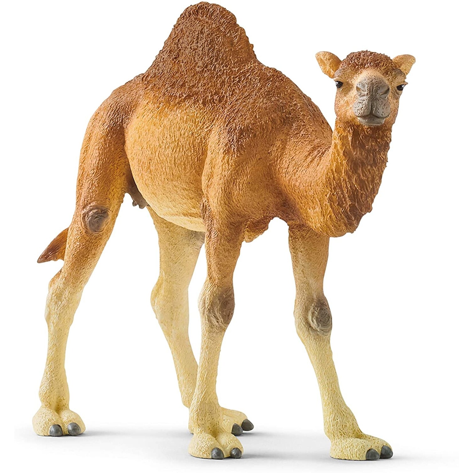 Schleich 14832 - Dromedary