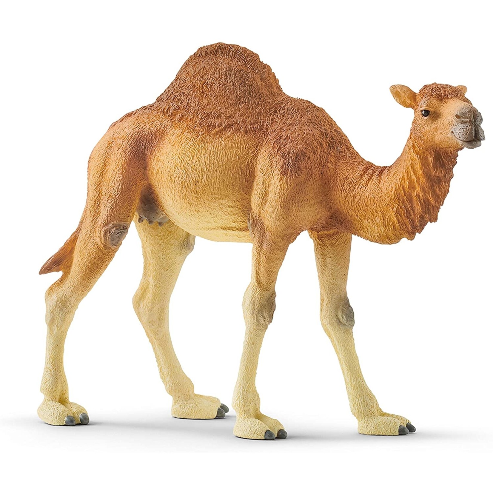 Schleich 14832 - Dromedary