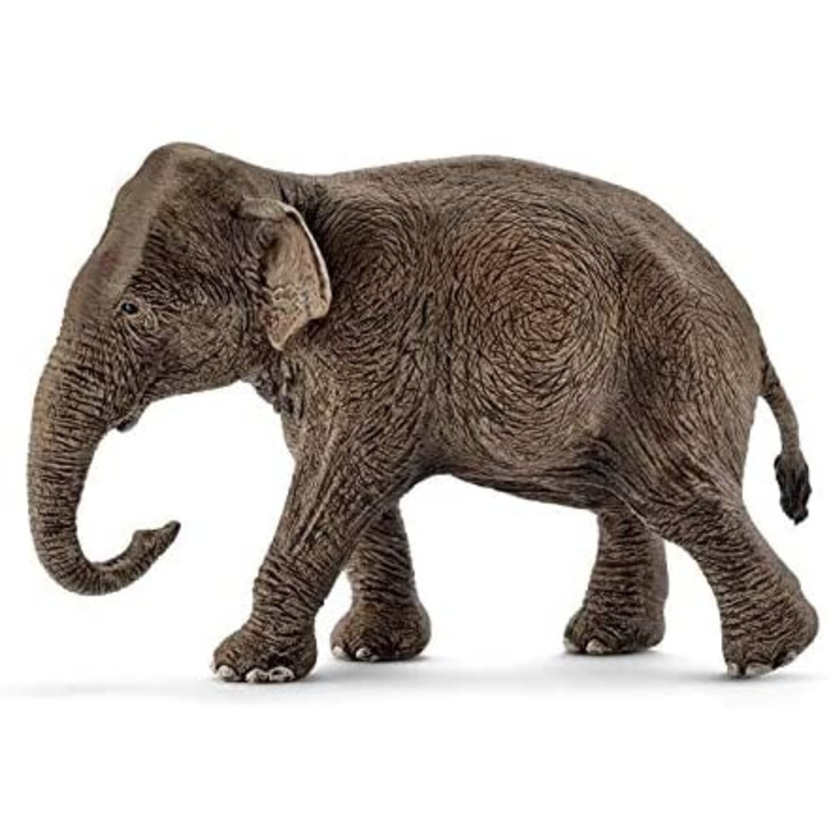 Schleich 14753 - Asian Elephant Female