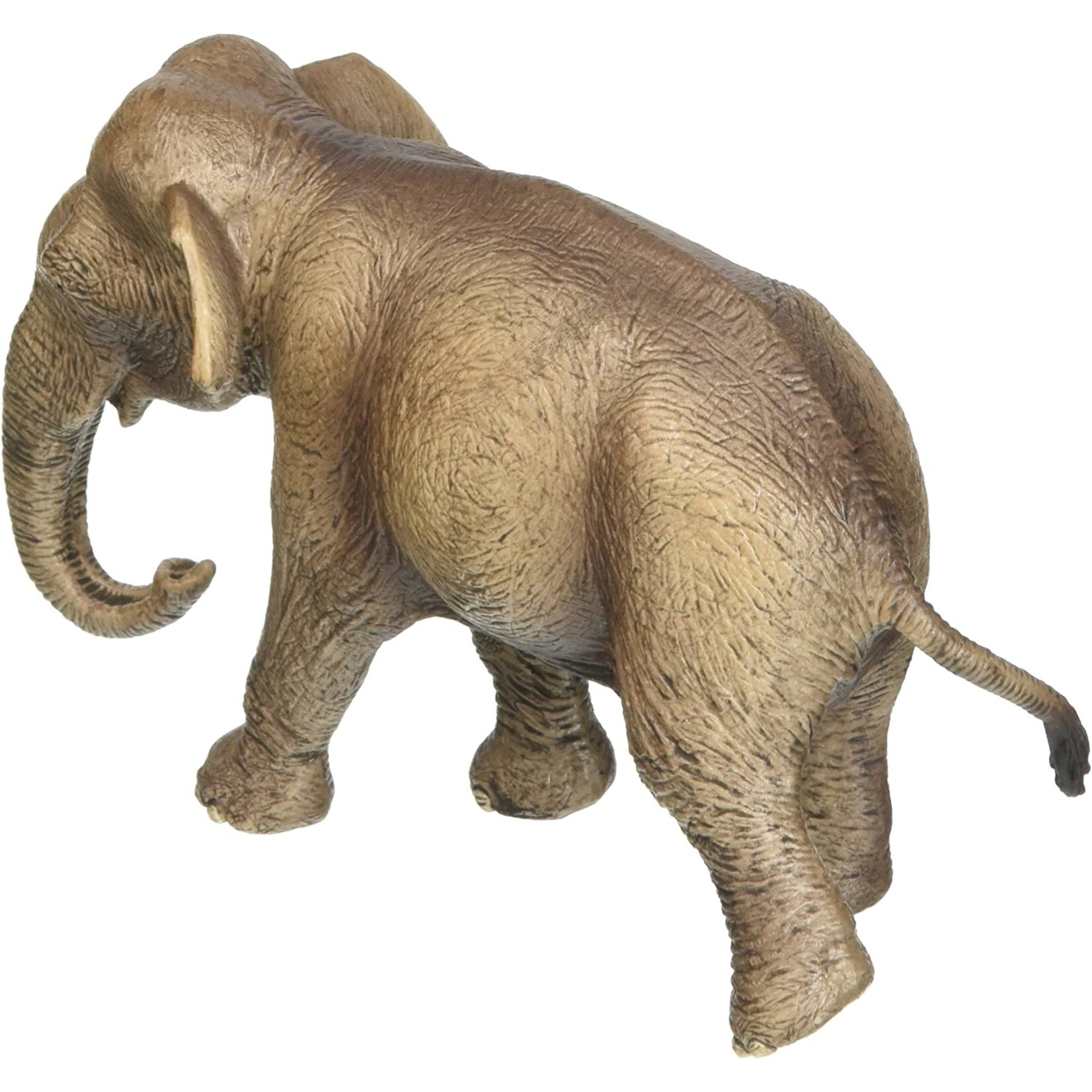 Schleich 14753 - Asian Elephant Female