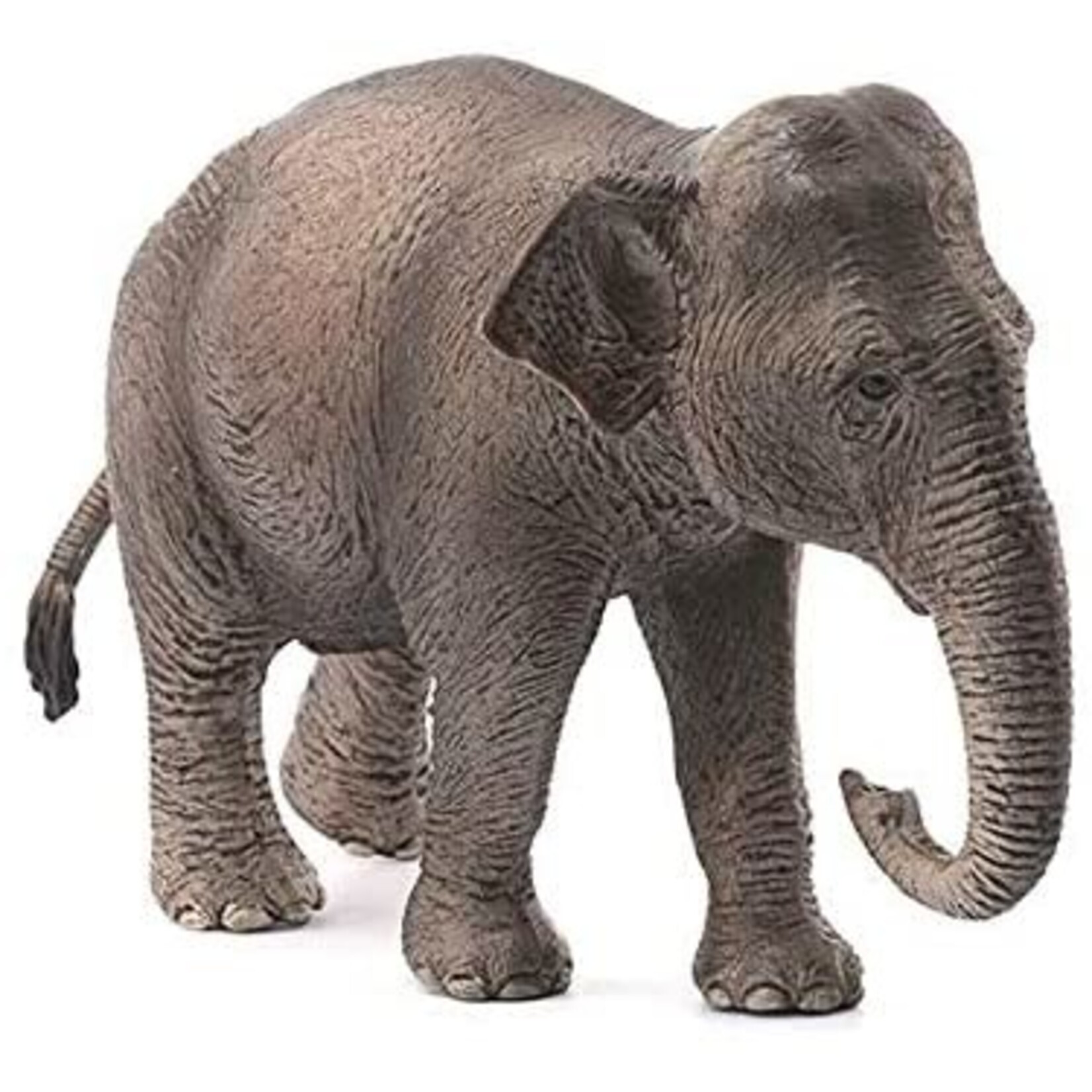 Schleich 14753 - Asian Elephant Female